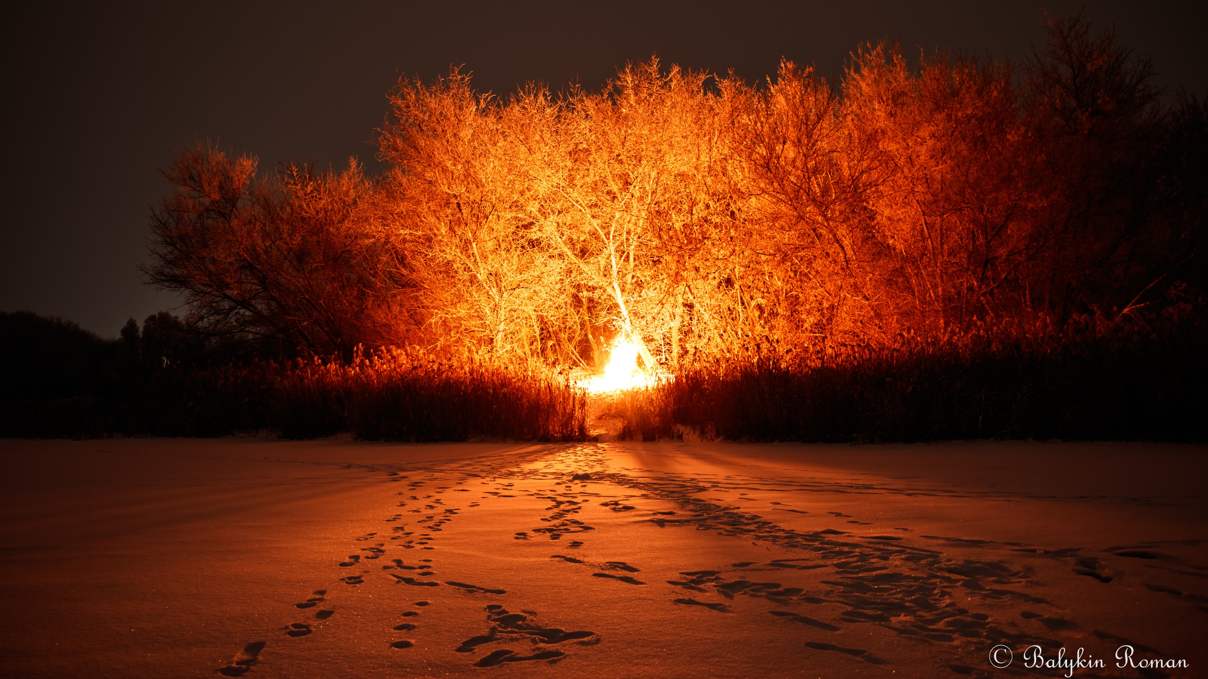 nature, landscape, night, footprints, winter, snow, trees, lights, clear sky, plants, HD Wallpaper