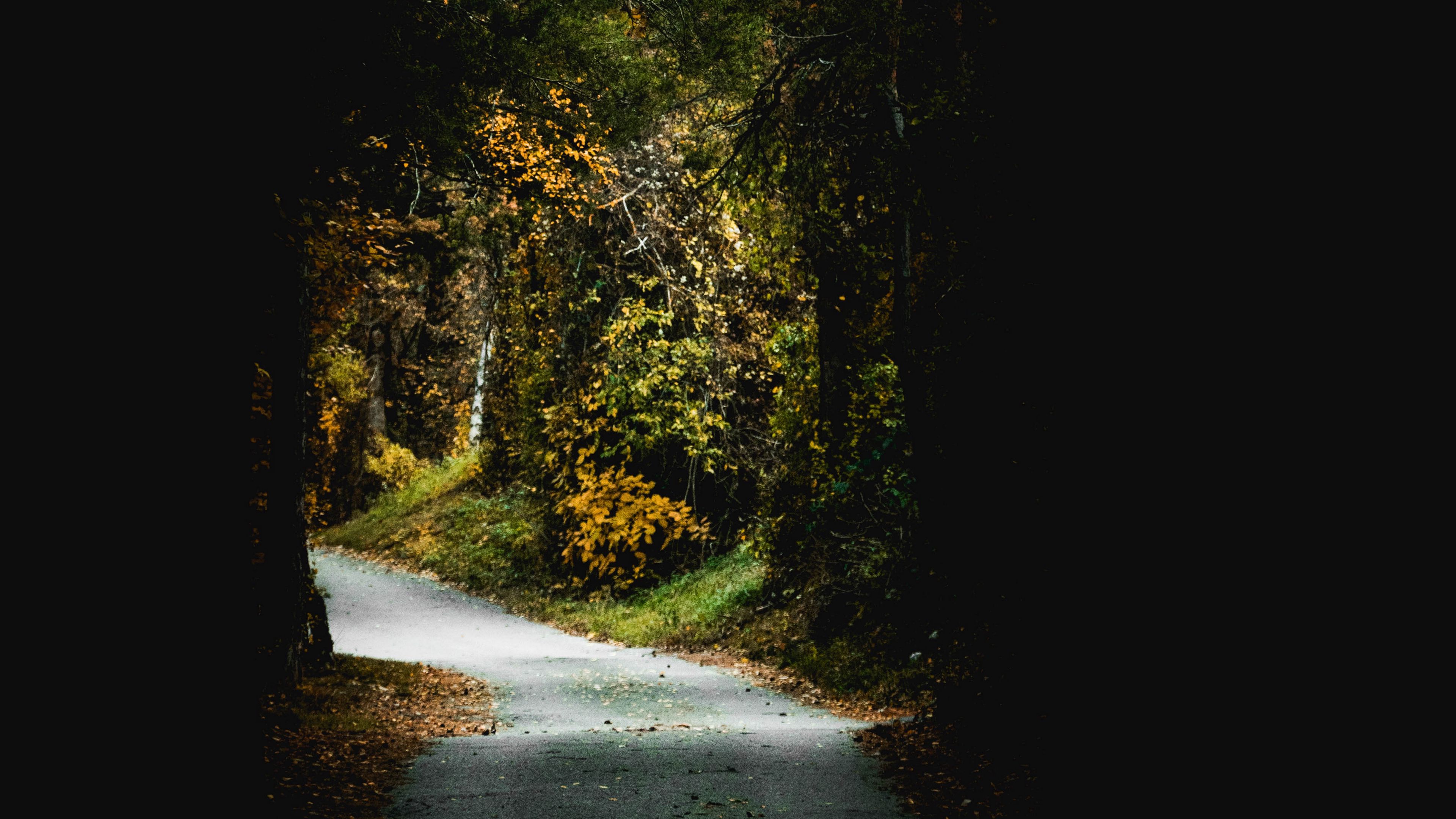 passage, arch, trees, dark, foliage, 4k, HD Wallpaper