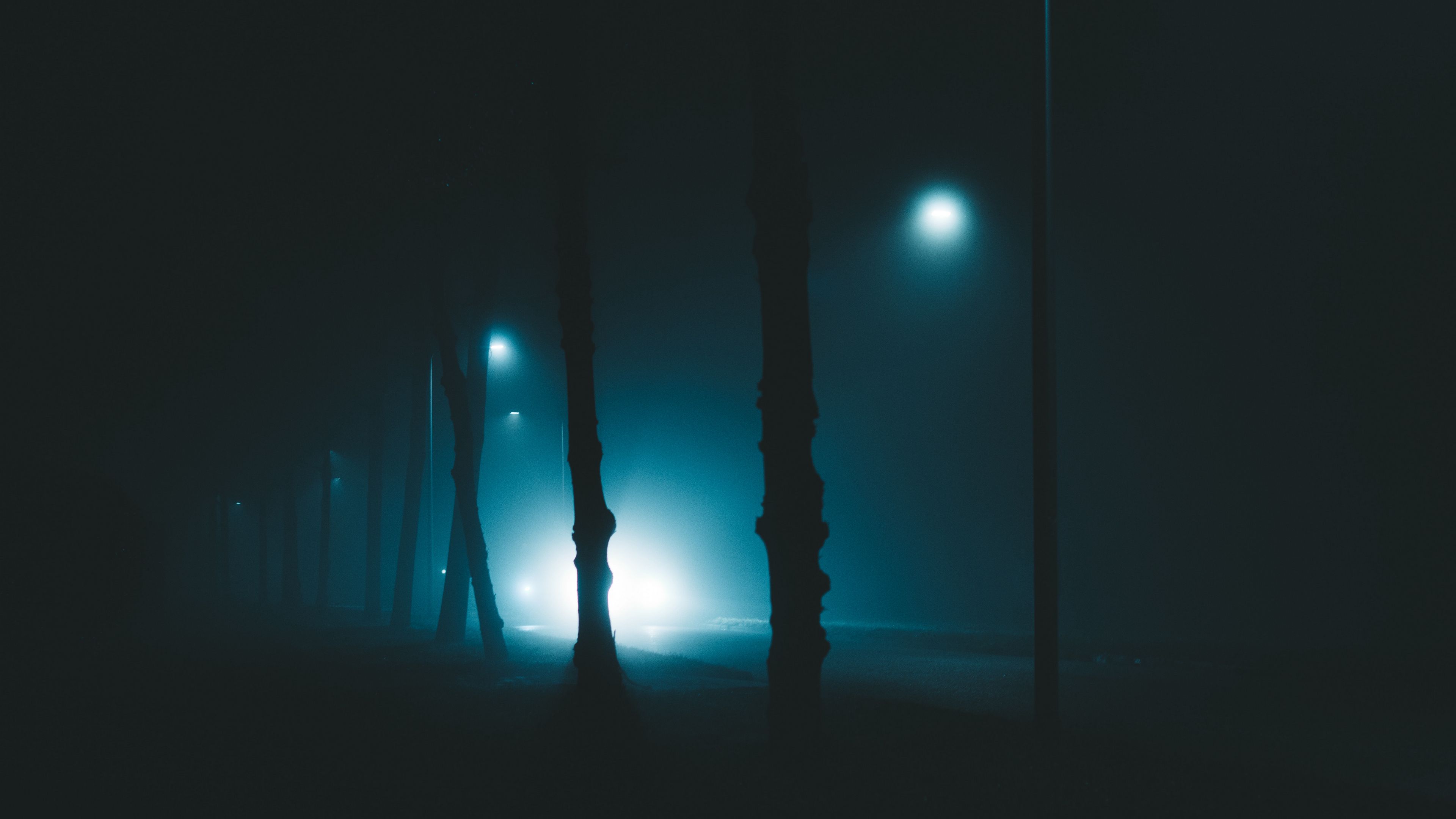 night, trees, fog, lights, light, gloomy, enveloping, 4k, HD Wallpaper