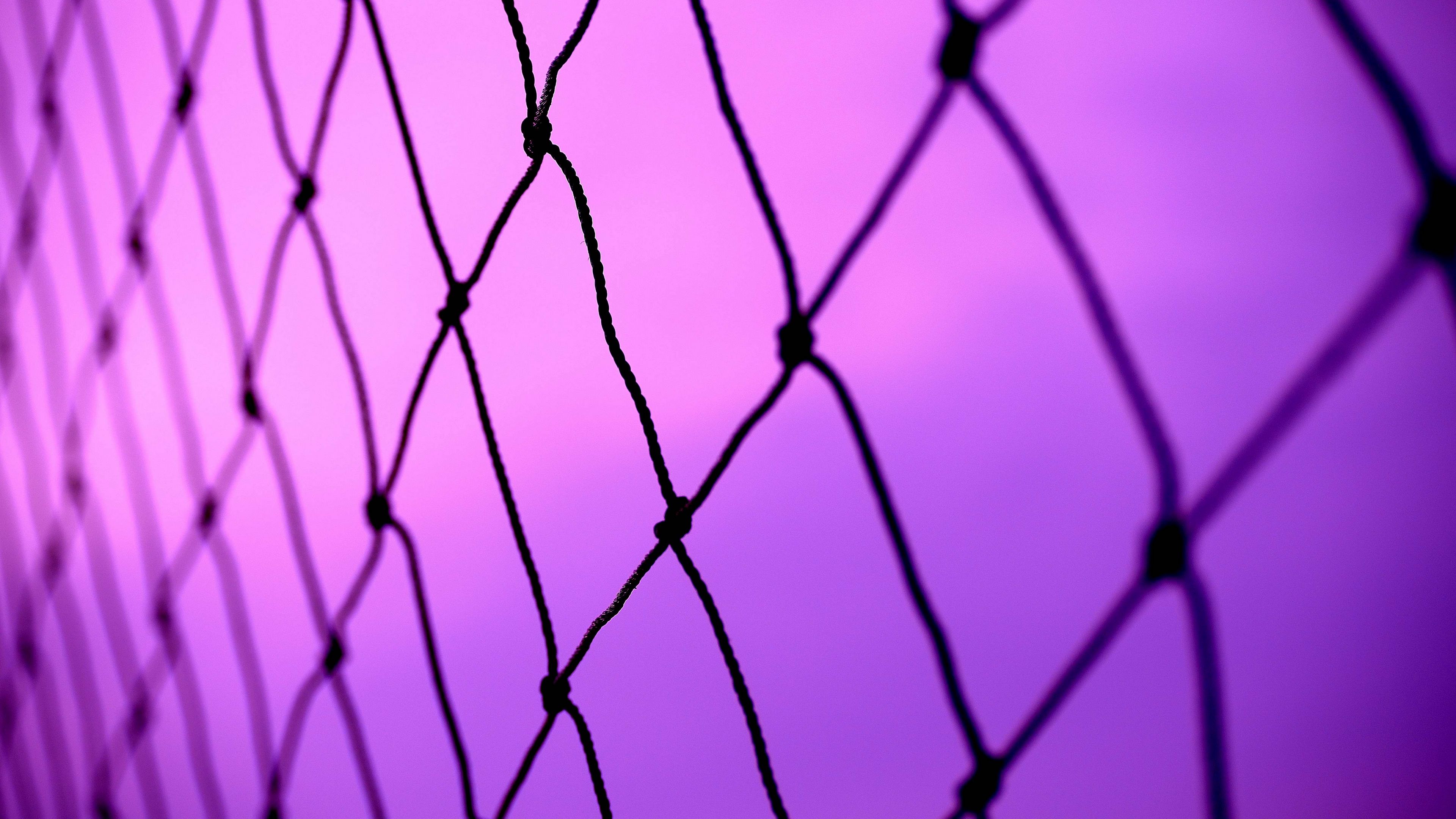 mesh, sky, purple, background, wicker, 4k, HD Wallpaper