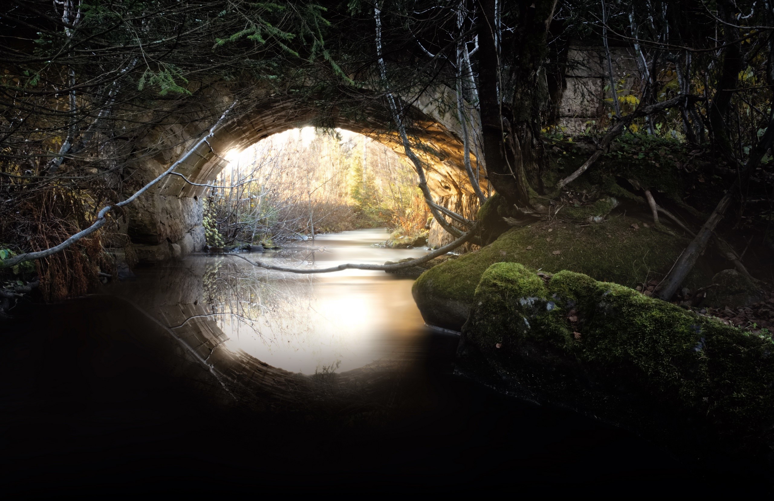 outdoors, plants, dark, water, sunlight, tunnel, HD Wallpaper