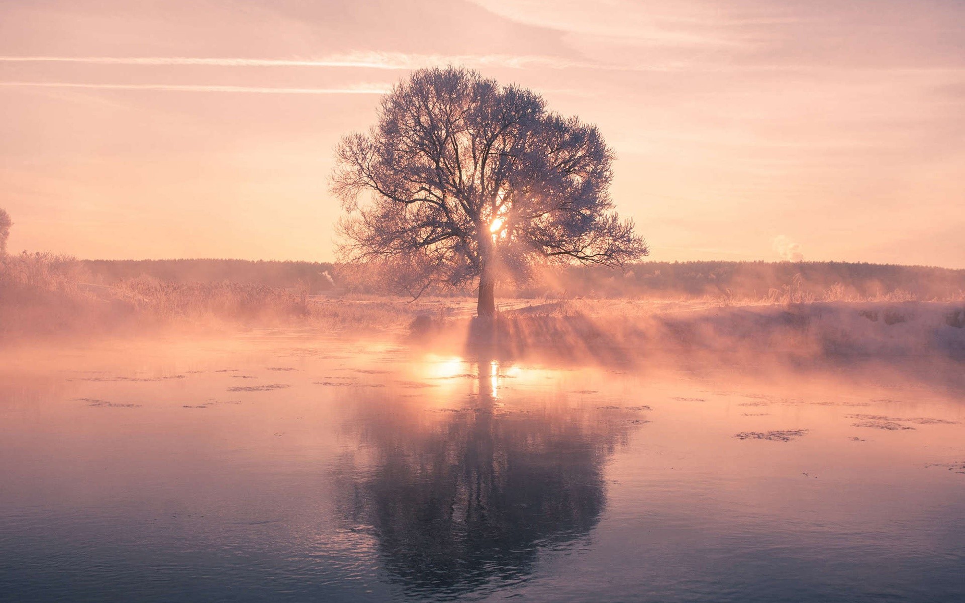 nature, landscape, trees, water, sunlight, HD Wallpaper