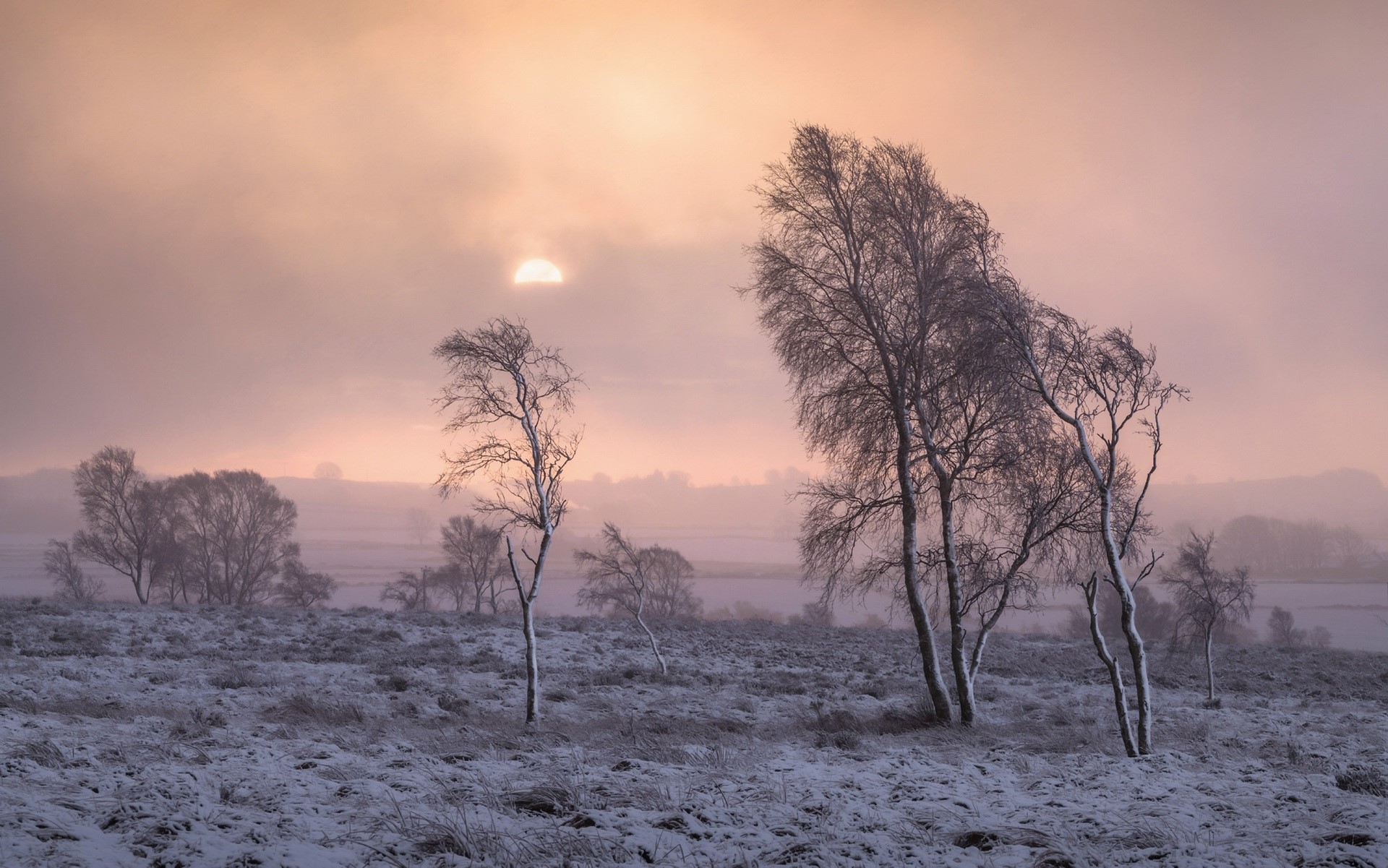 nature, winter, landscape, trees, snow, mist, calm, HD Wallpaper