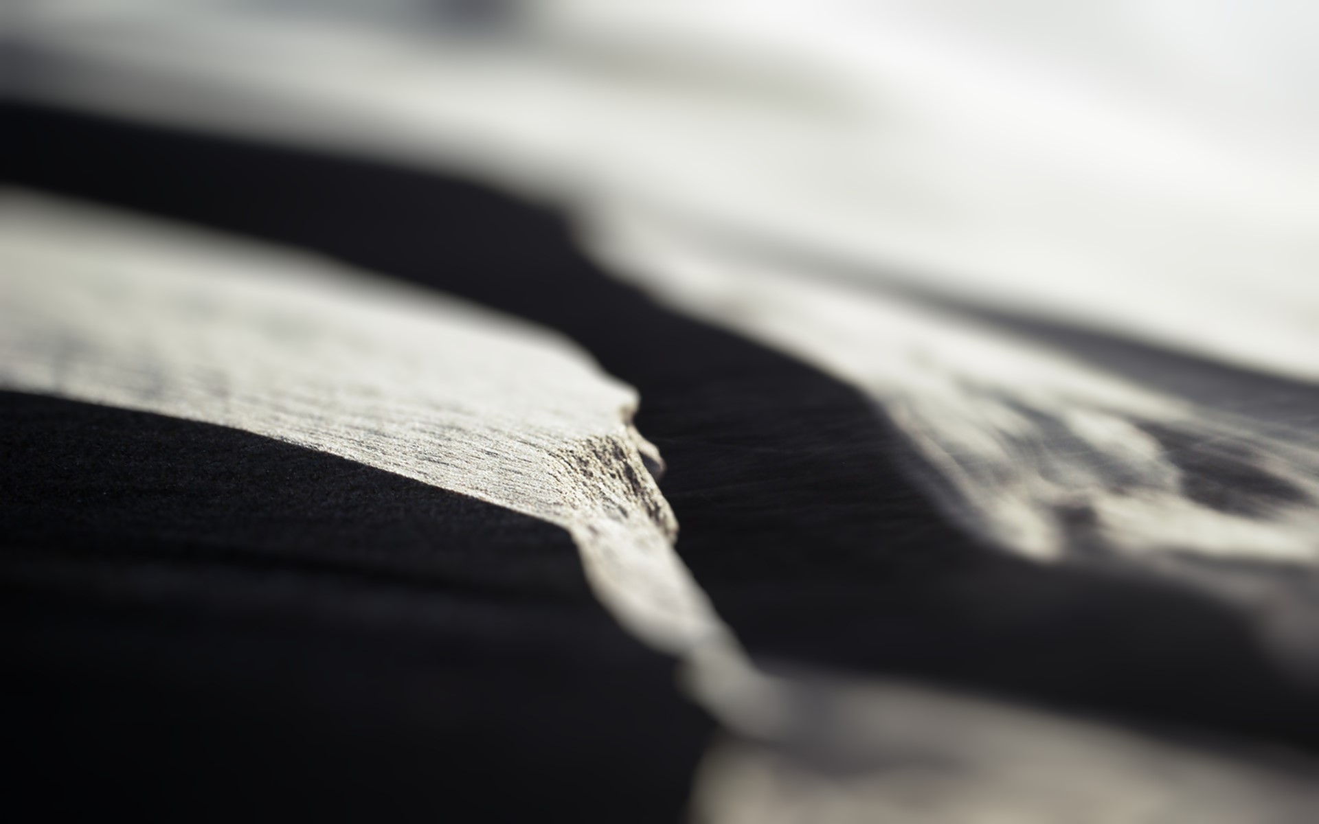 landscape, monochrome, macro, dark, texture, HD Wallpaper