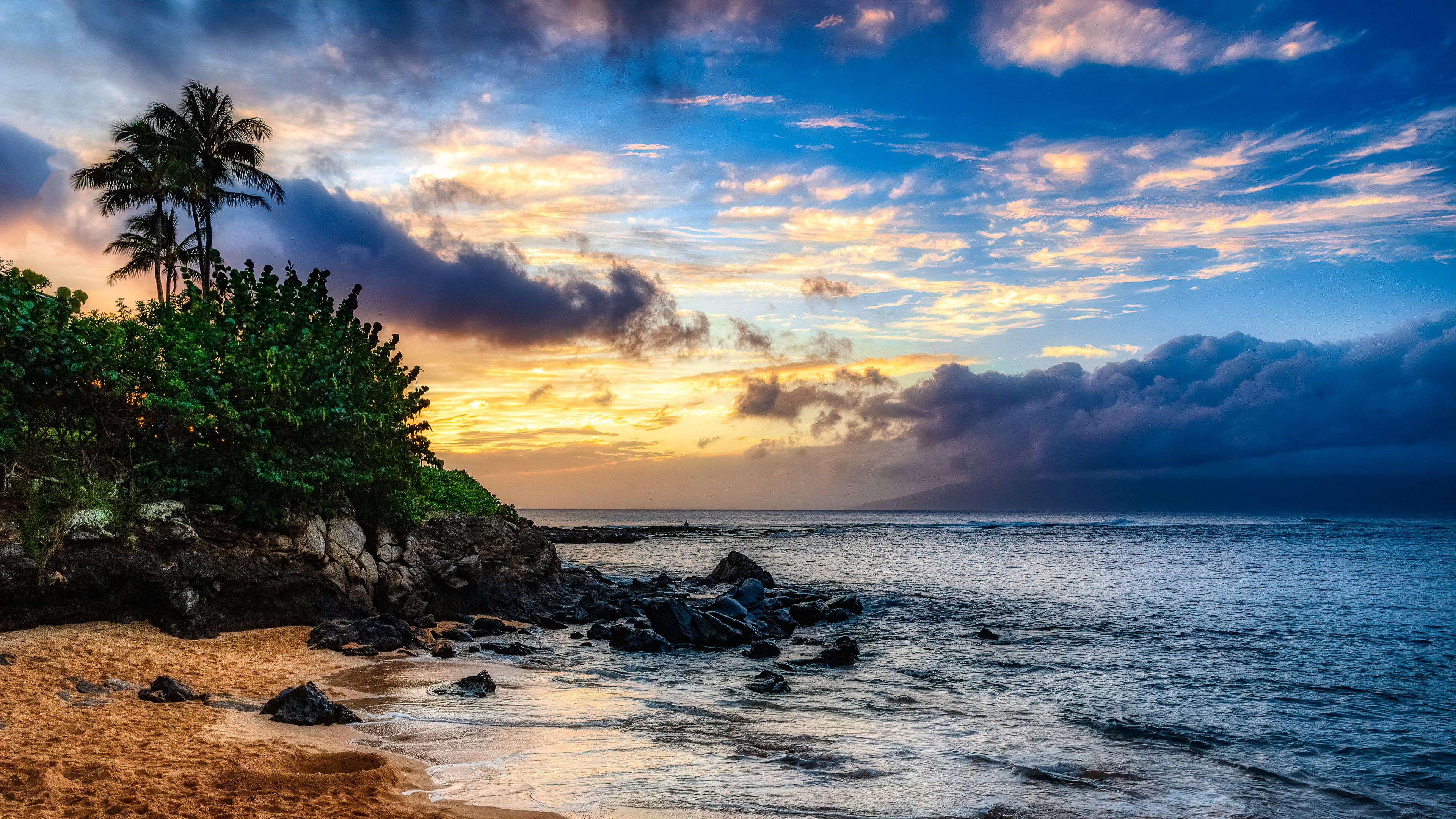 island, beach, palm trees, 4k, HD Wallpaper