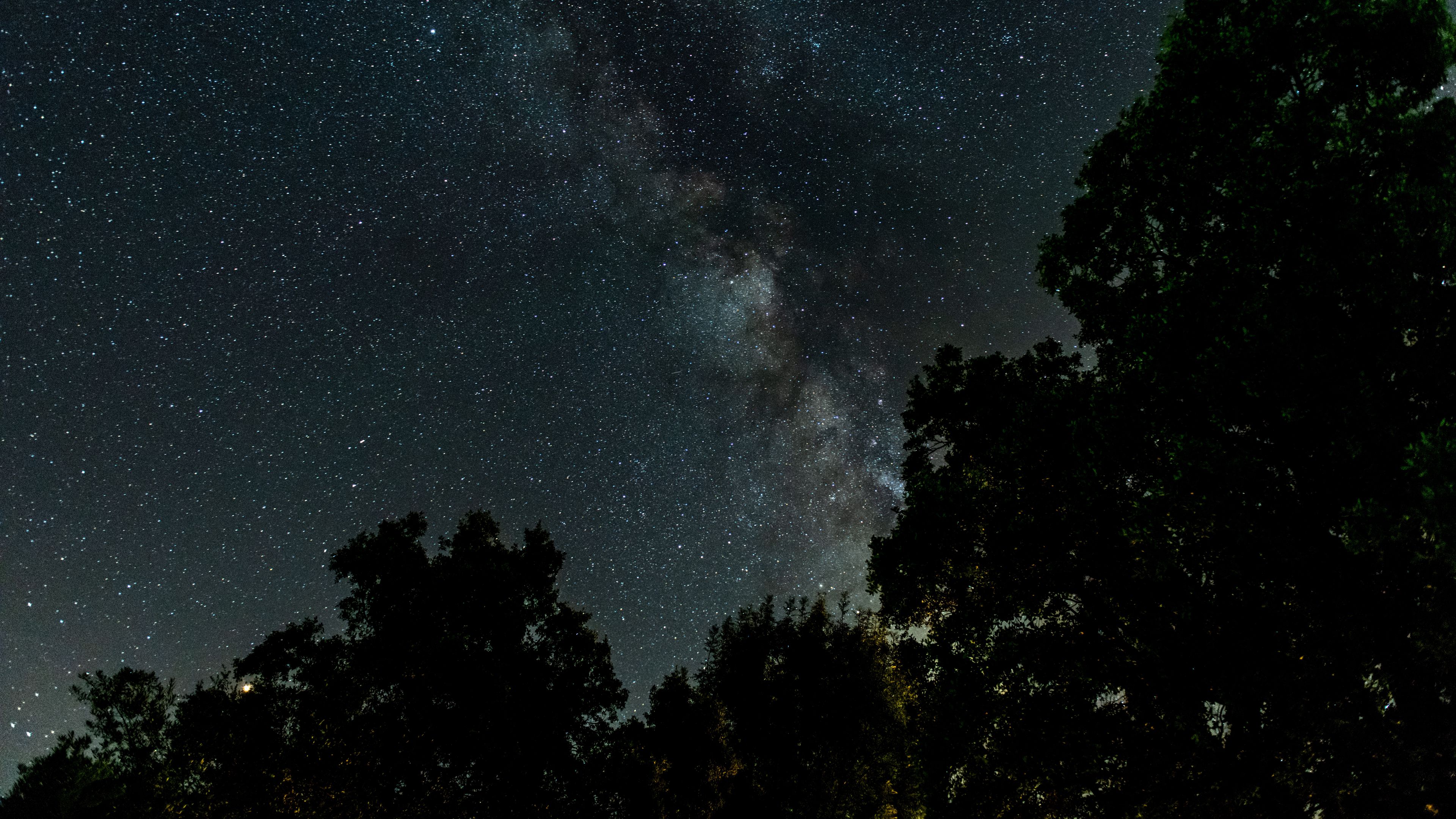 starry sky, milky way, trees, night, stars, 4k, HD Wallpaper