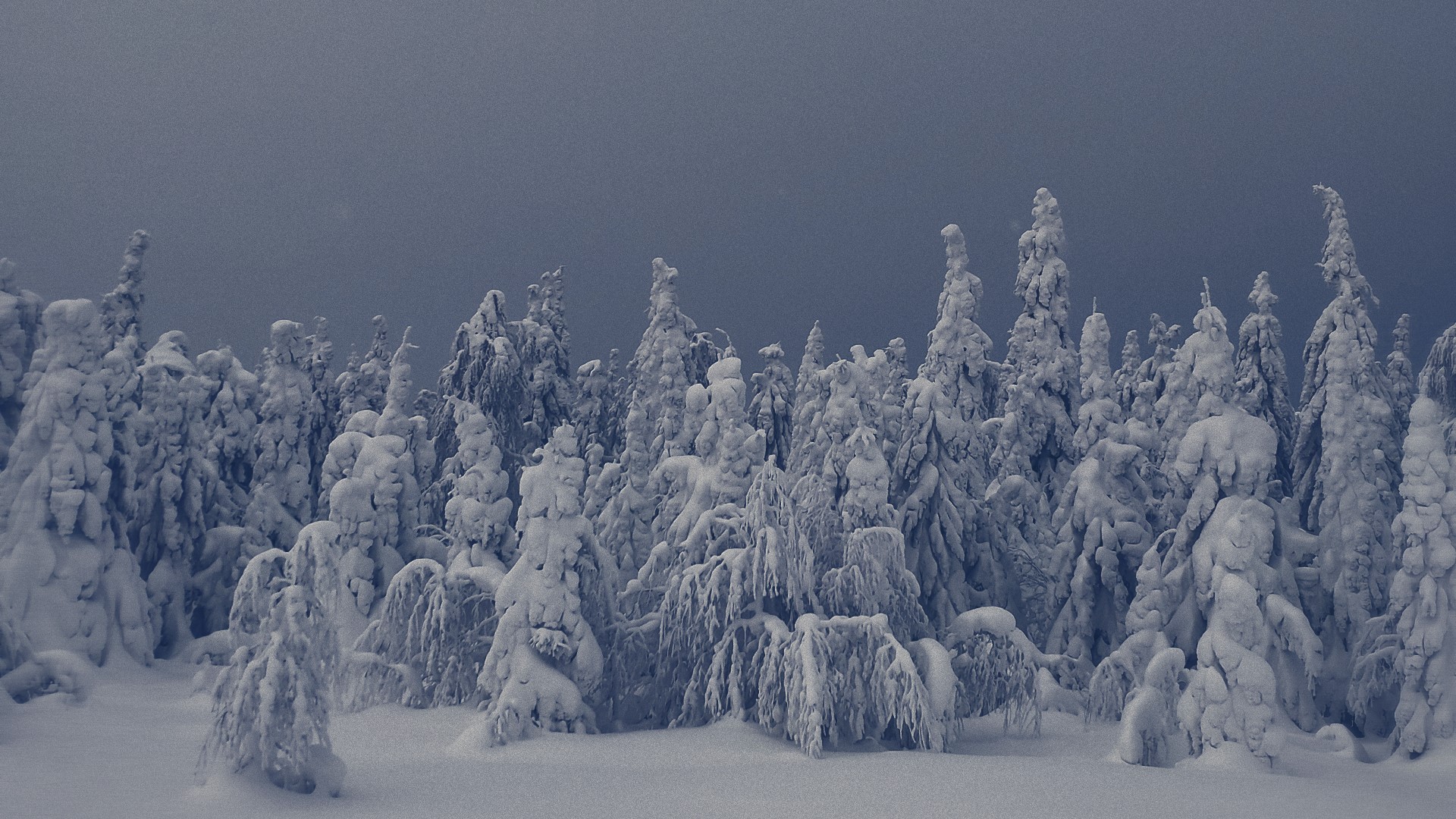 snow, winter, sky, trees, nature, landscape, forest, HD Wallpaper