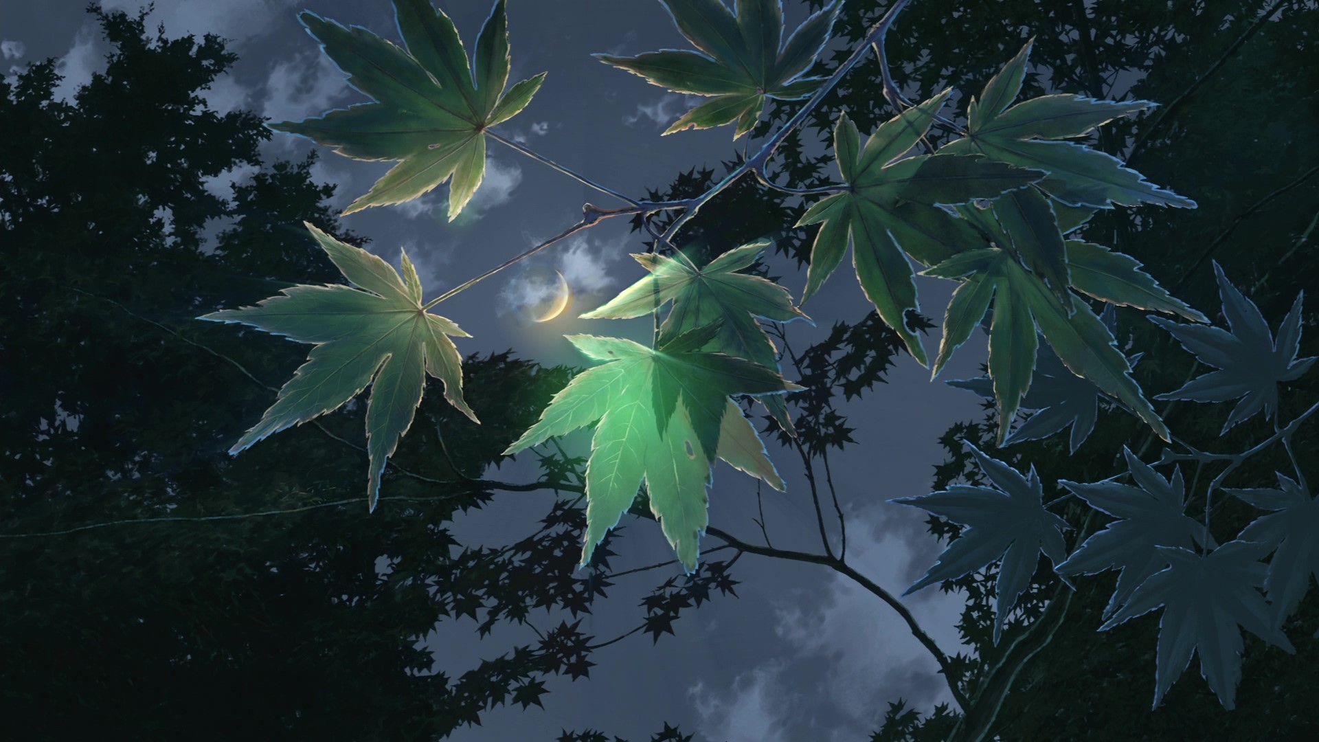 The Garden of Words, anime, Makoto Shinkai, HD Wallpaper