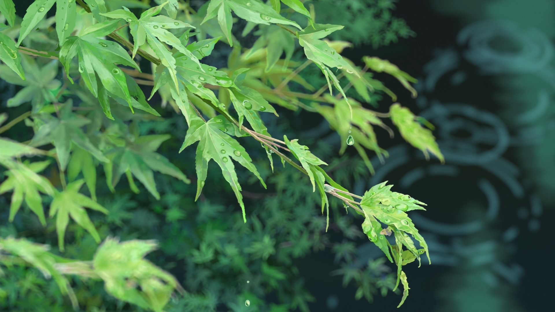 The Garden of Words, Makoto Shinkai, anime, artwork, HD Wallpaper