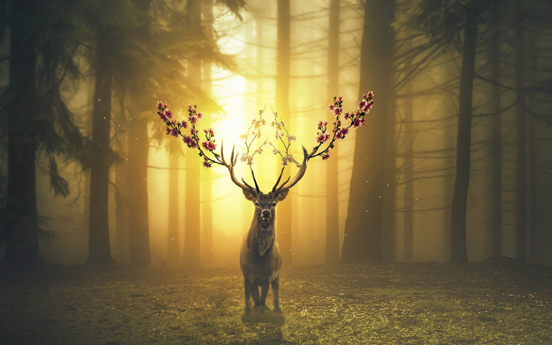 deer, spring, surreal, flowers, nature, trees, Sun, grass, digital art, HD Wallpaper