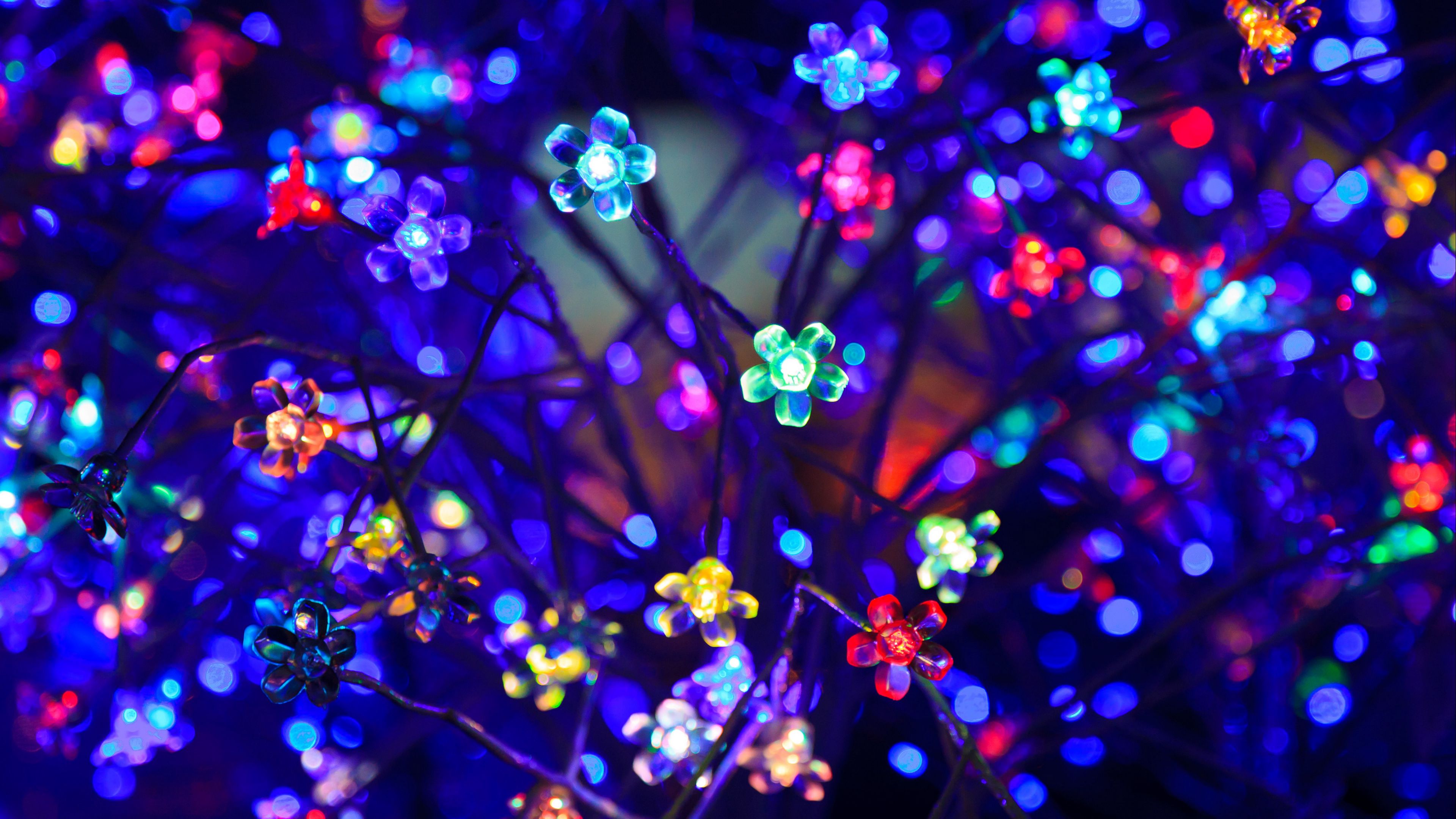 bulbs, flowers, neon, light, lighting, glare, bokeh, colorful, 4k, HD Wallpaper
