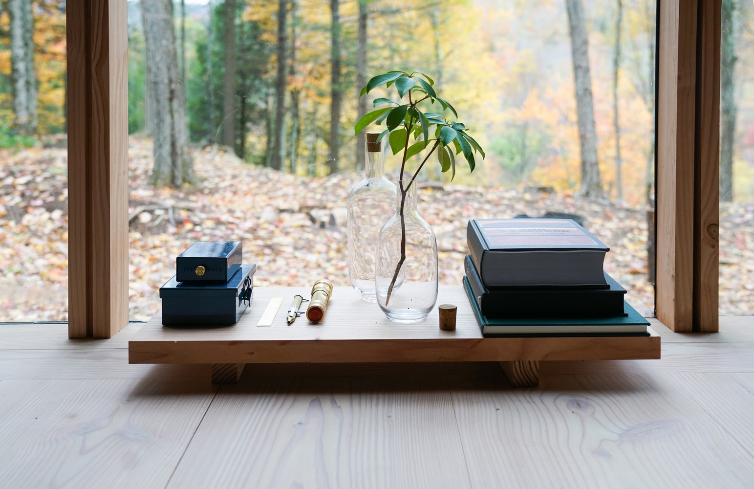 books, vase, window, HD Wallpaper