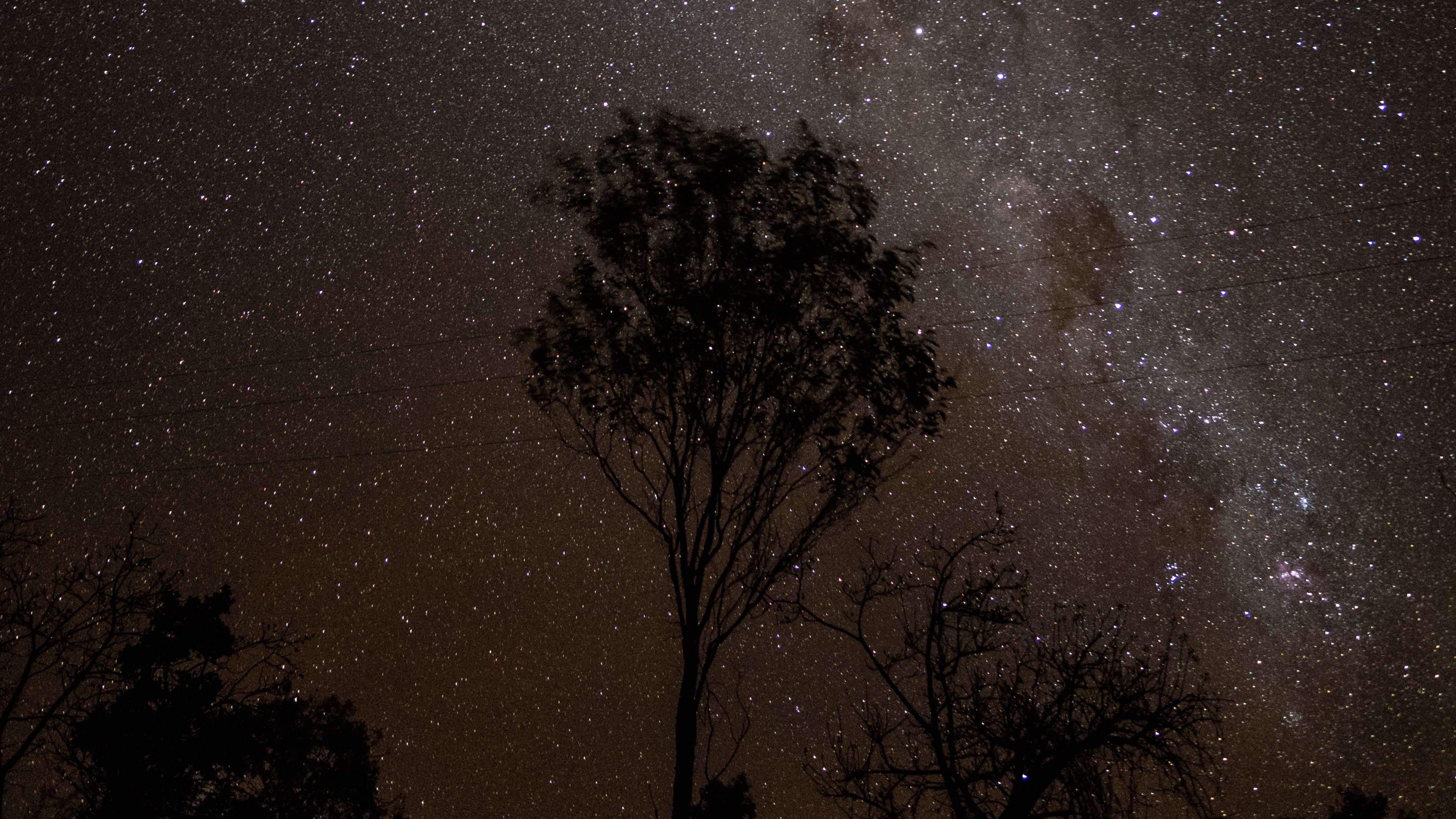 starry sky, night, milky way, trees, outlines, stars, 4k, HD Wallpaper