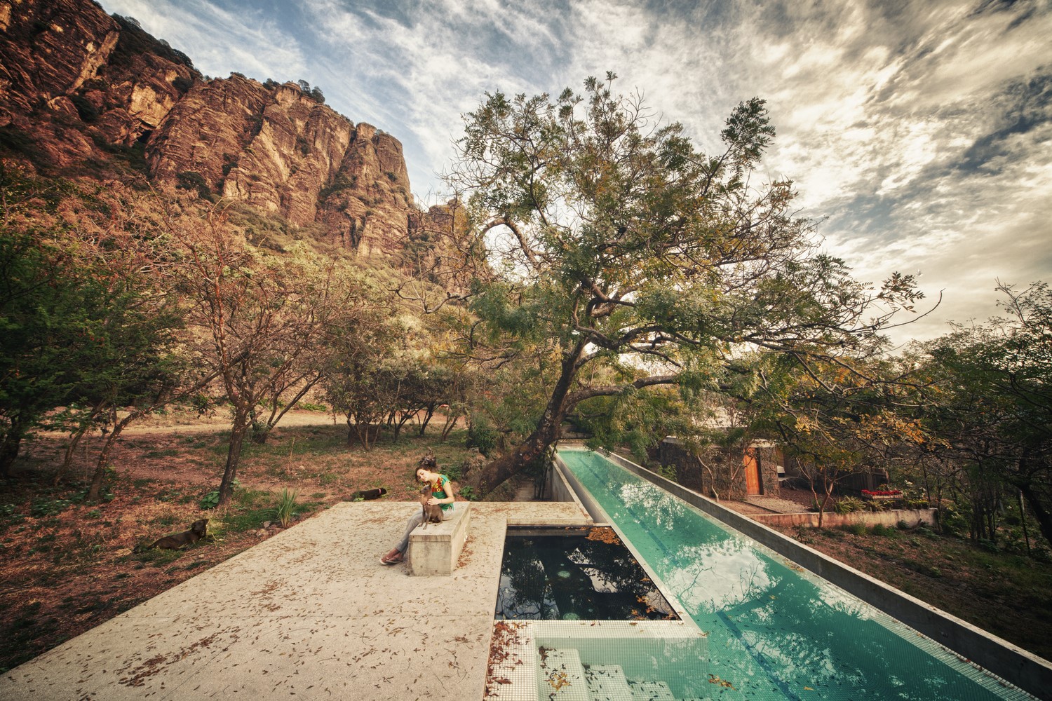 swimming pool, landscape, trees, outdoors, HD Wallpaper