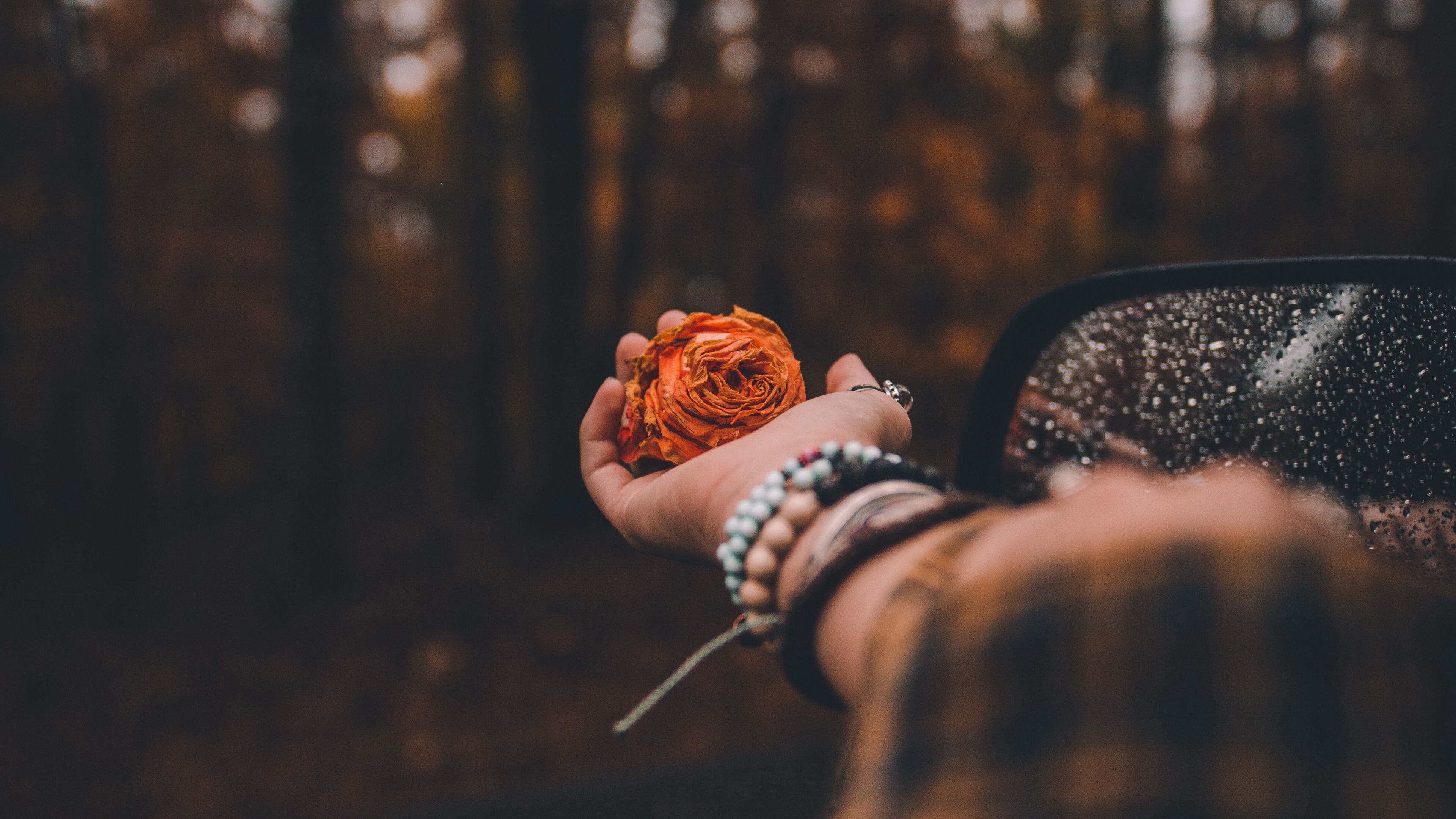 hand, rose, blur, flower, bokeh, glare, 4k, HD Wallpaper