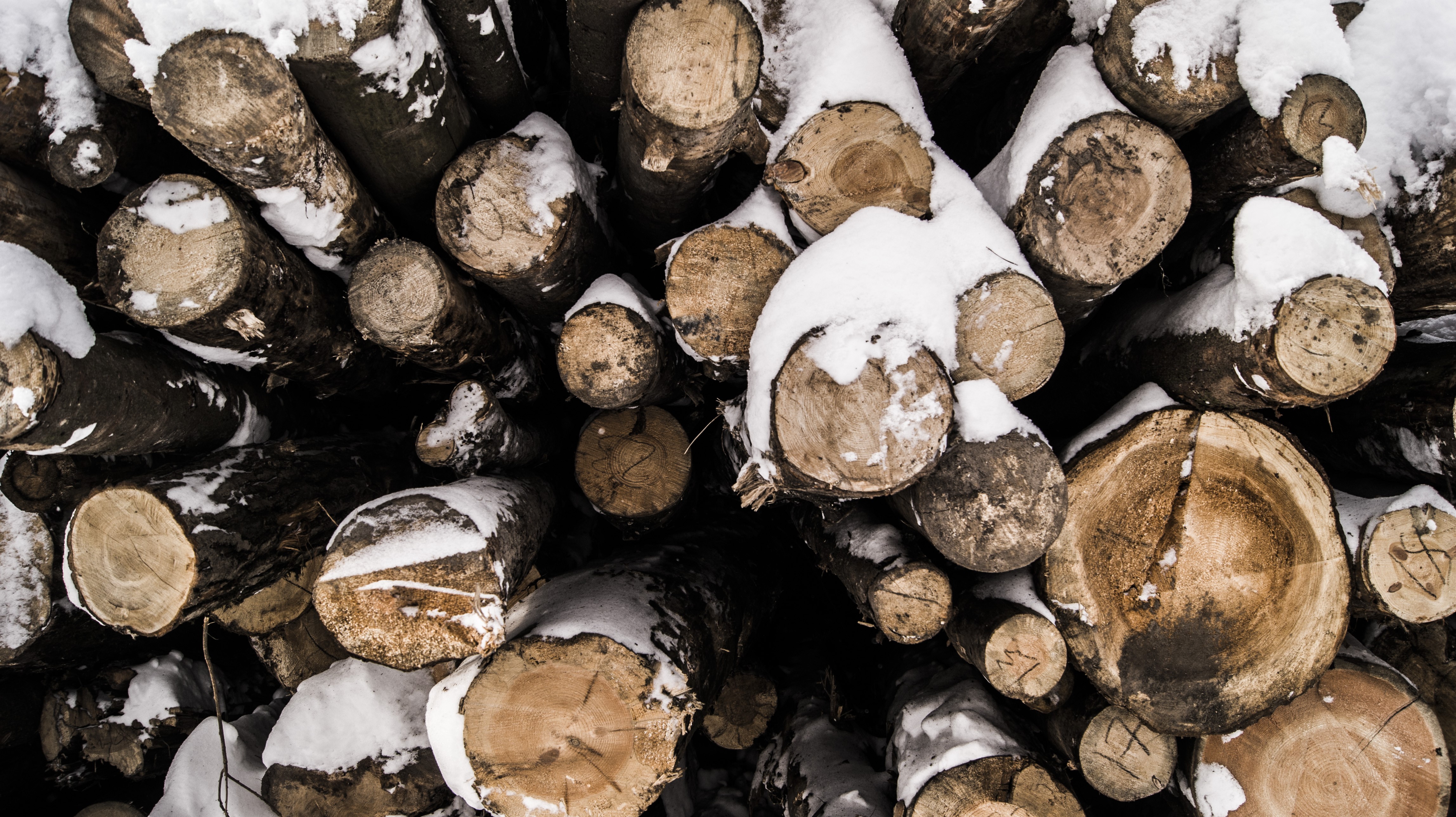 snow, nature, photography, wood, snow covered, metra, HD Wallpaper