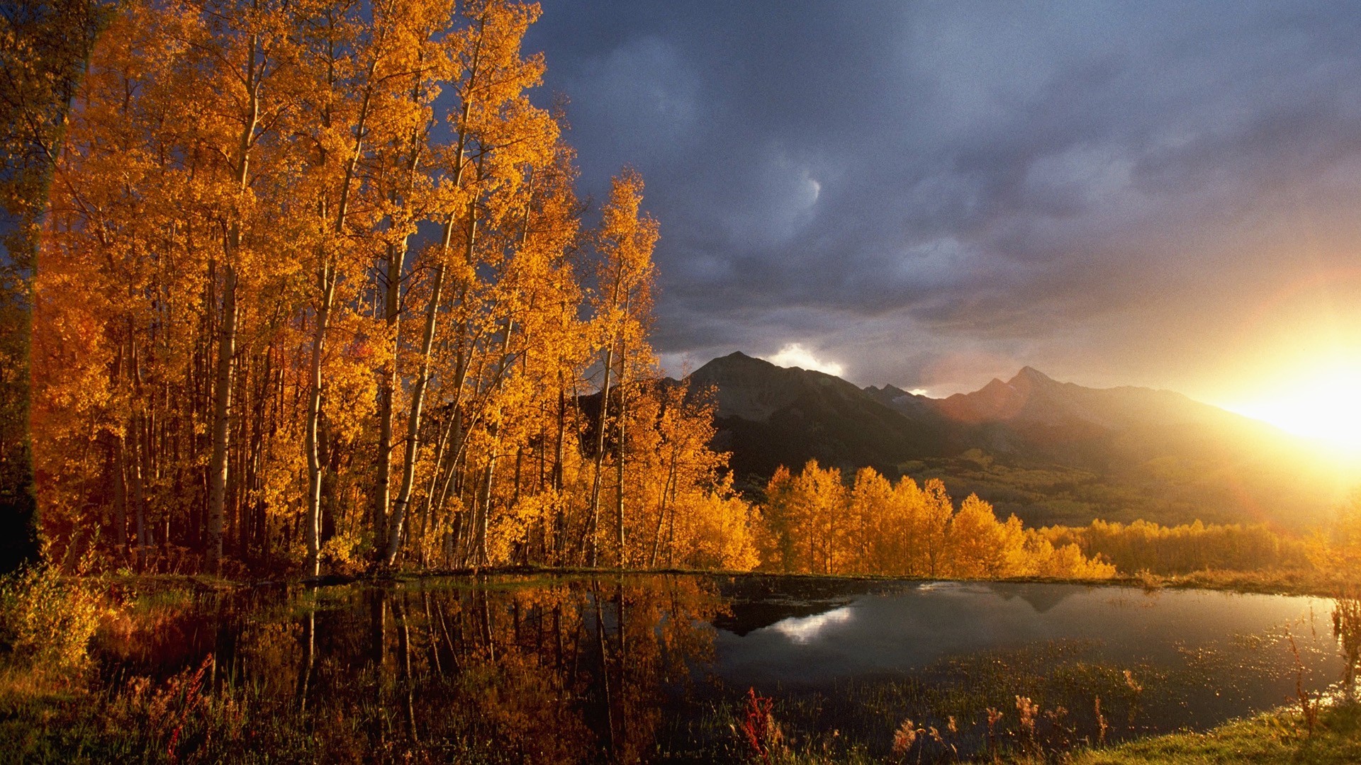 landscape, nature, trees, leaves, fall, pond, reflection, HD Wallpaper