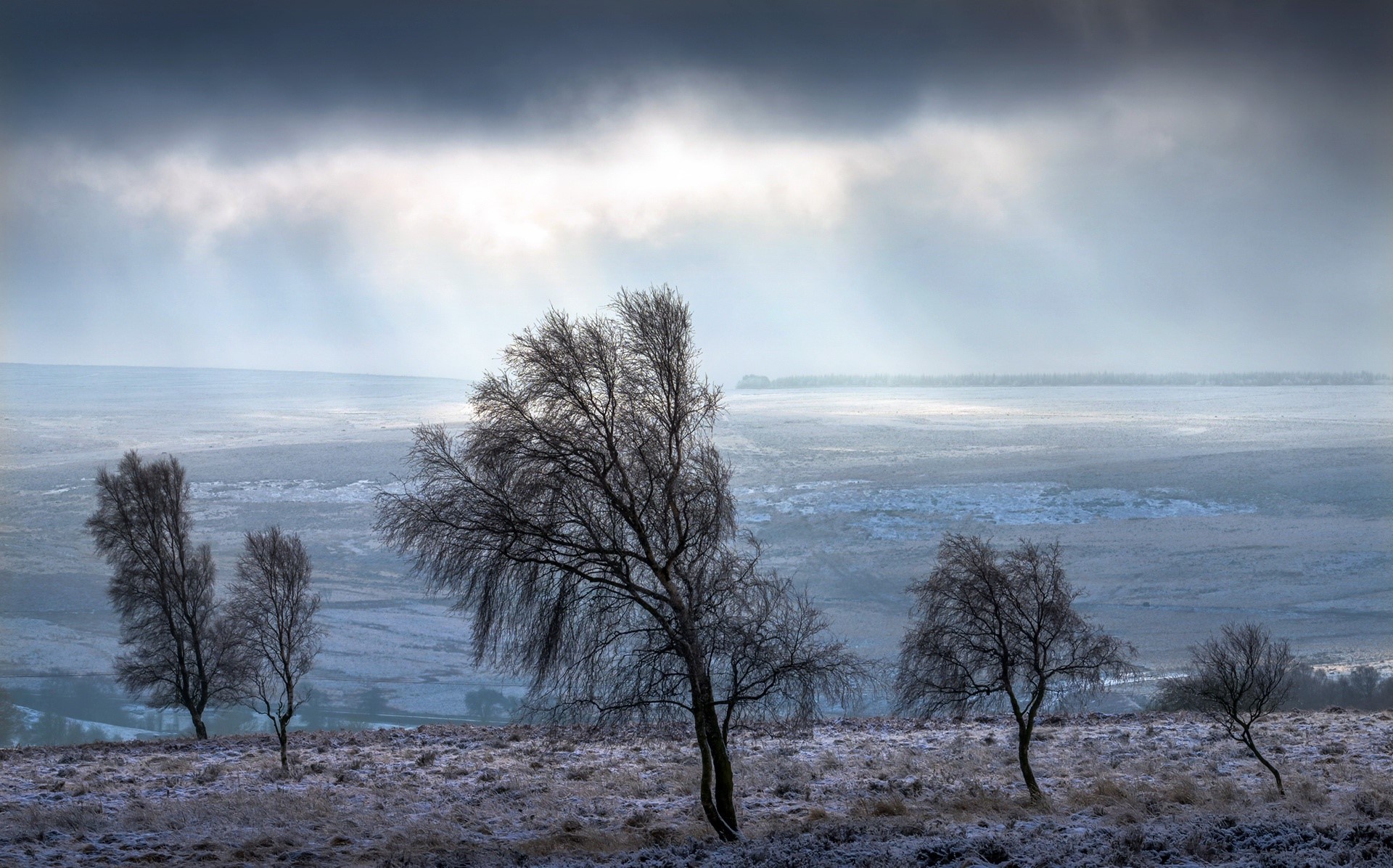 winter, cold, landscape, trees, HD Wallpaper