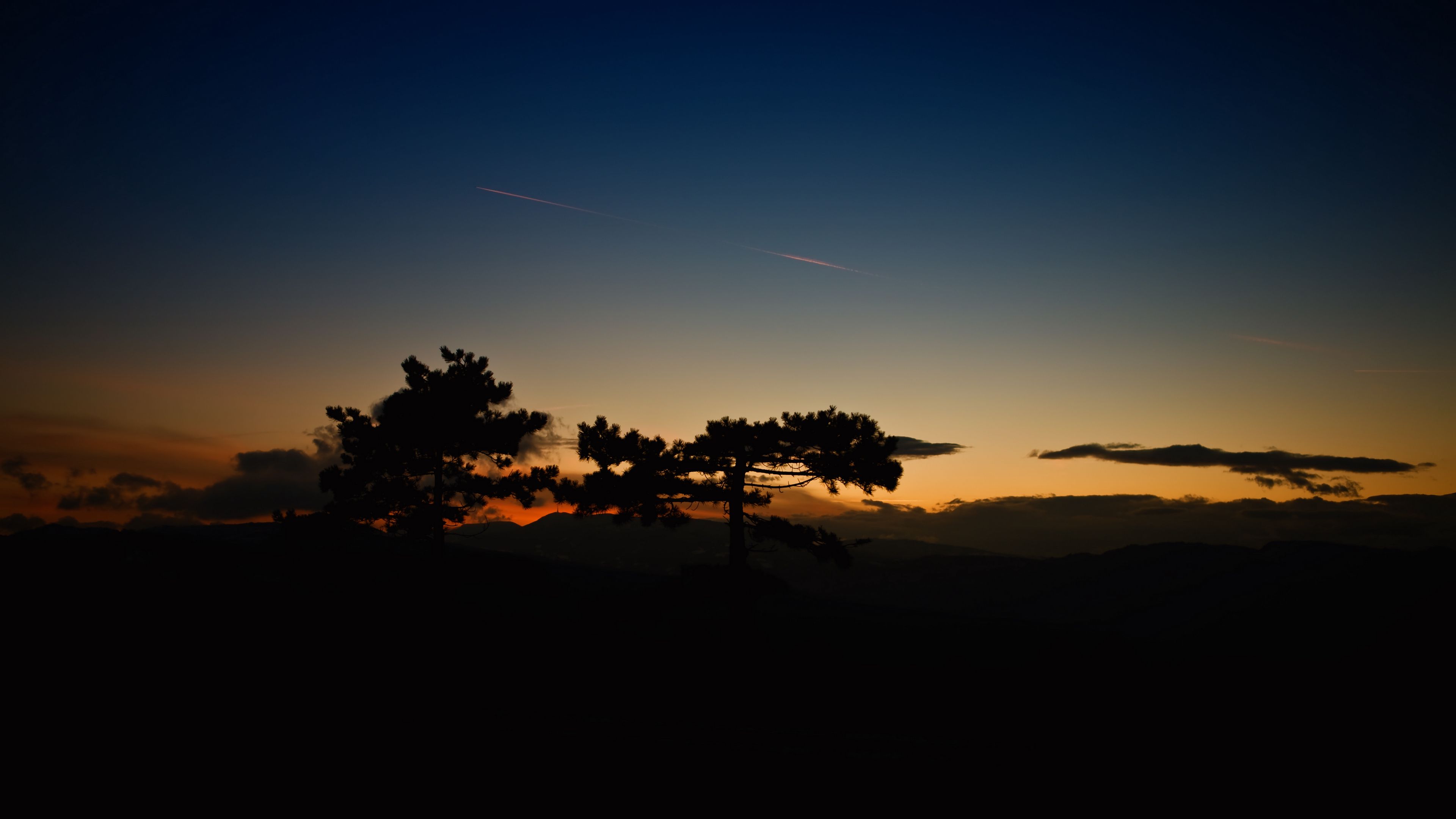 sunset, trees, sky, horizon, dark, clouds, 4k, HD Wallpaper
