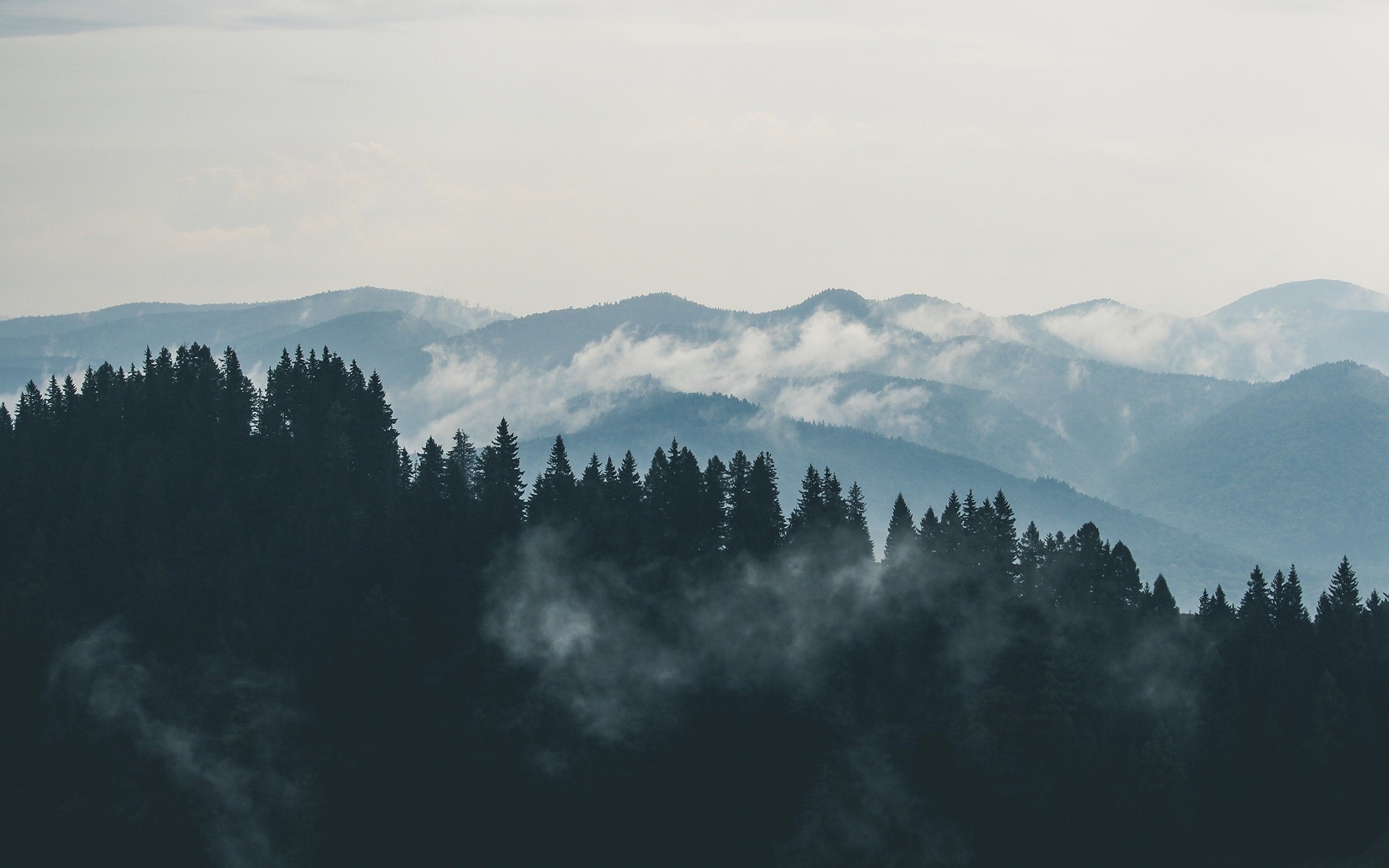clouds, forest, trees, mountain pass, pine trees, sky, HD Wallpaper