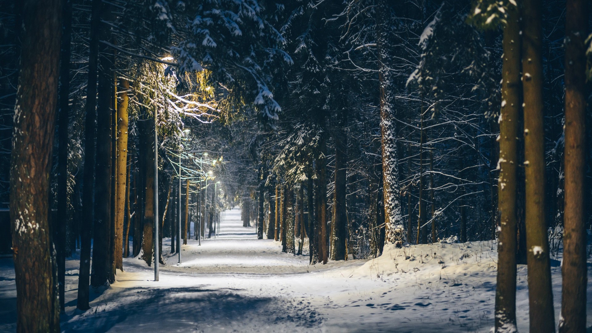 nature, landscape, winter, snow, trees, forest, lamp, park, HD Wallpaper