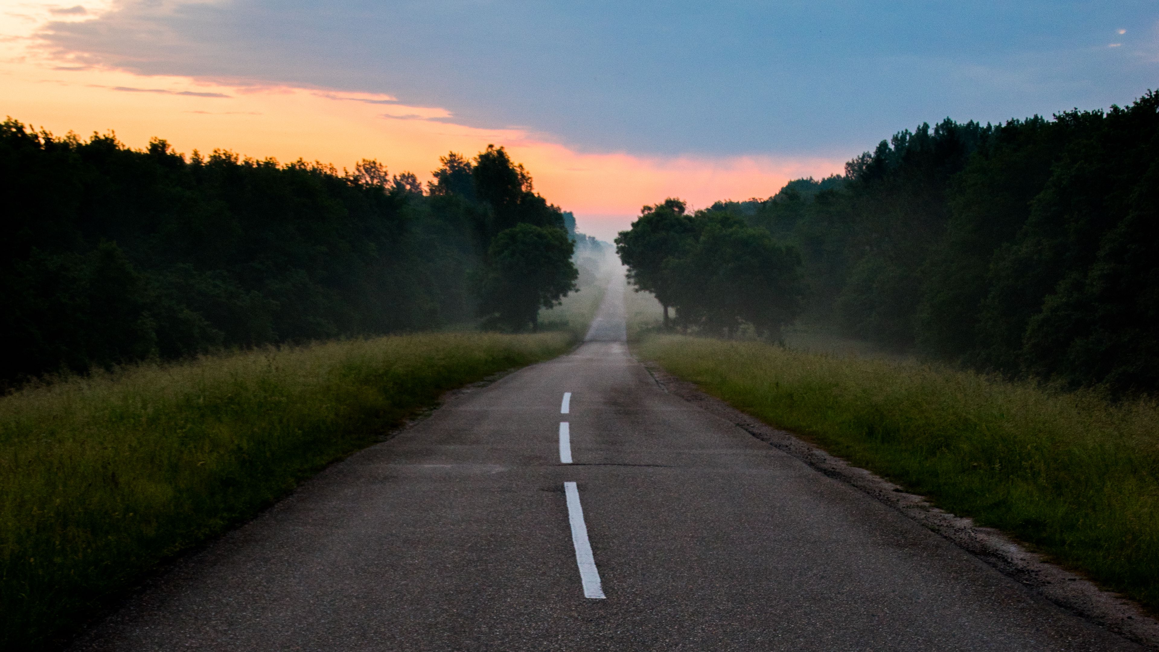 road, markings, fog, dawn, 4k, HD Wallpaper