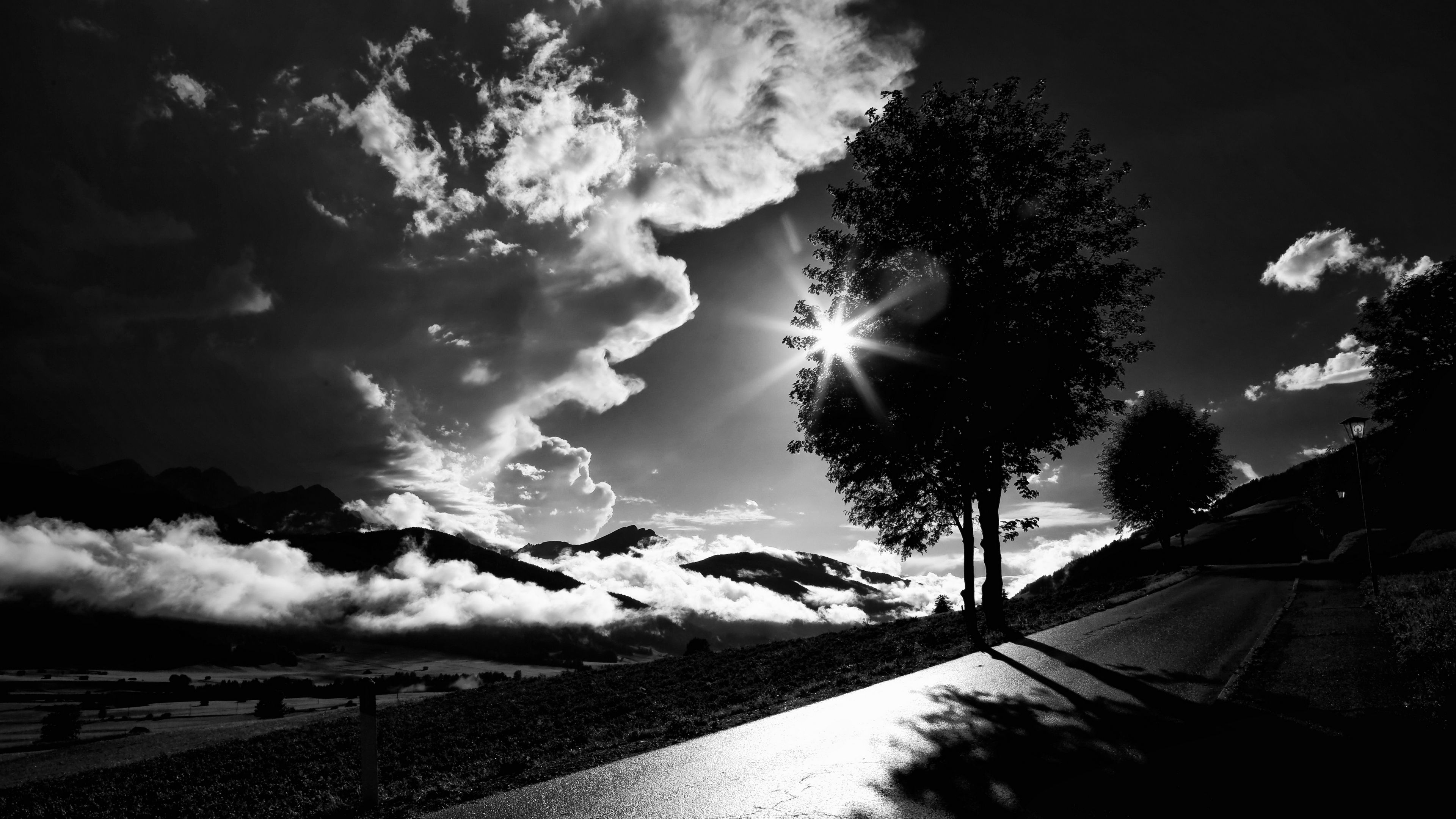tree, road, bw, sunset, clouds, 4k, HD Wallpaper
