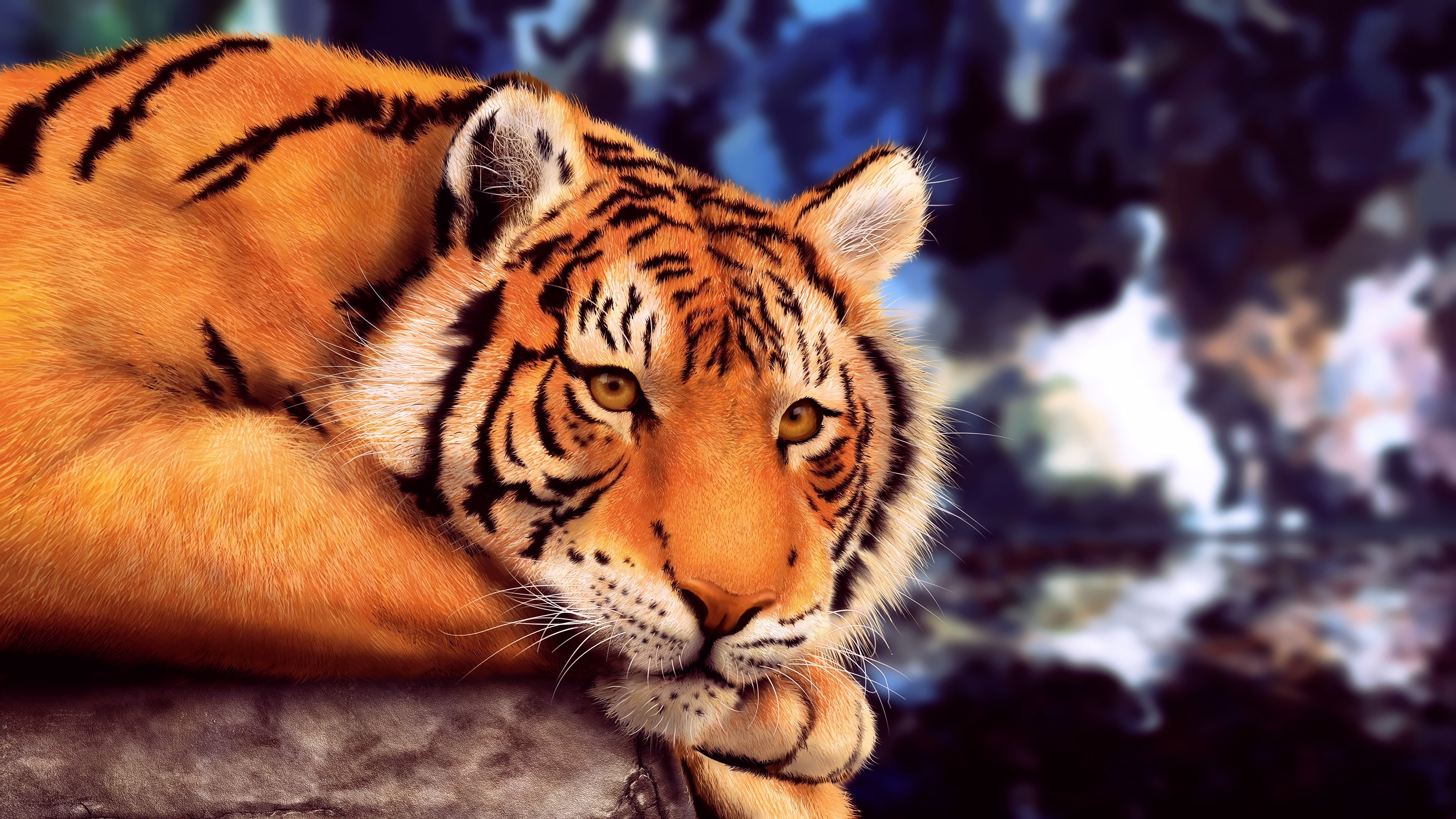 animals, big cats, tiger, yellow eyes, HD Wallpaper