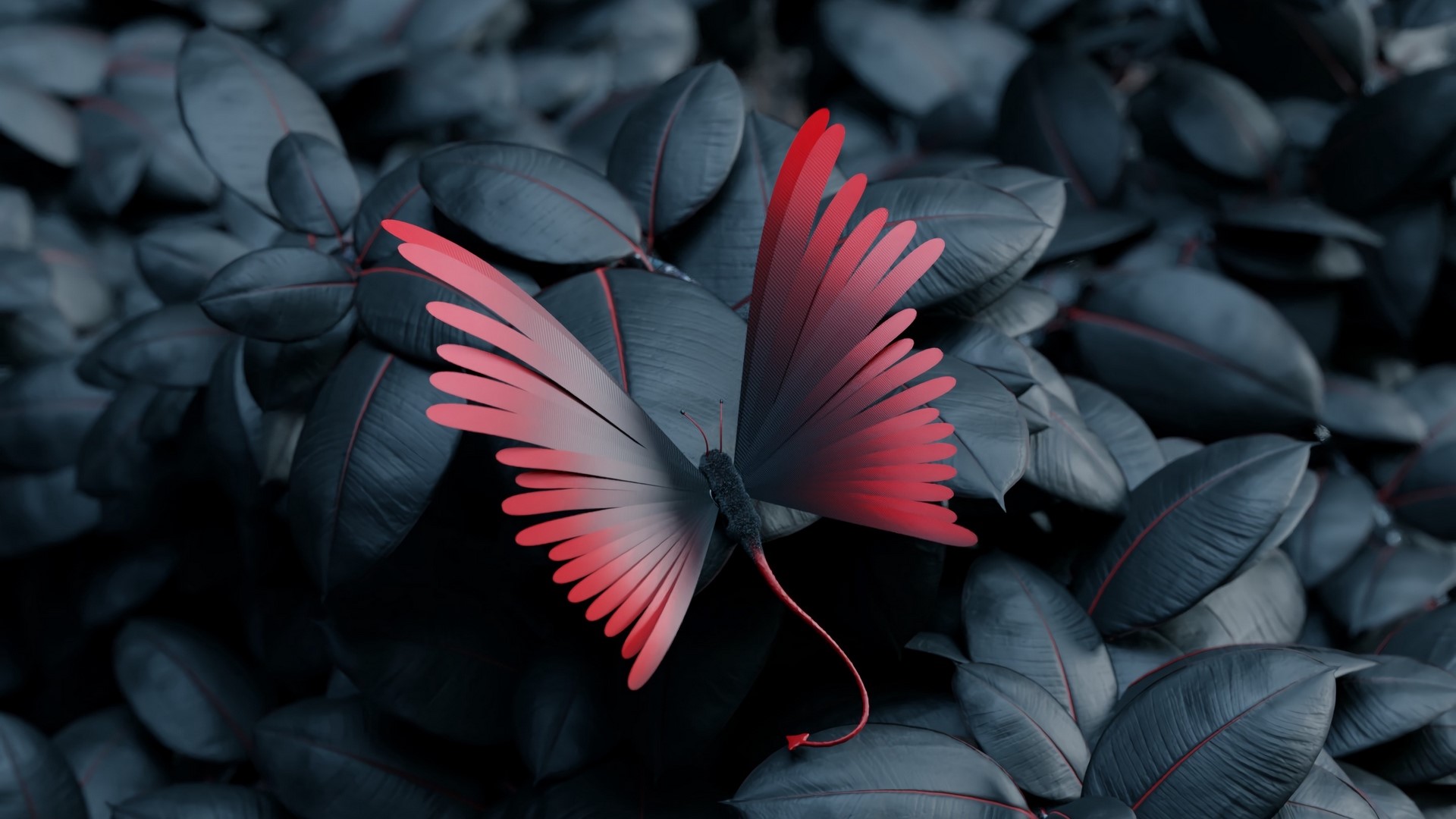 nature, butterfly, leaves, artwork, tail, HD Wallpaper
