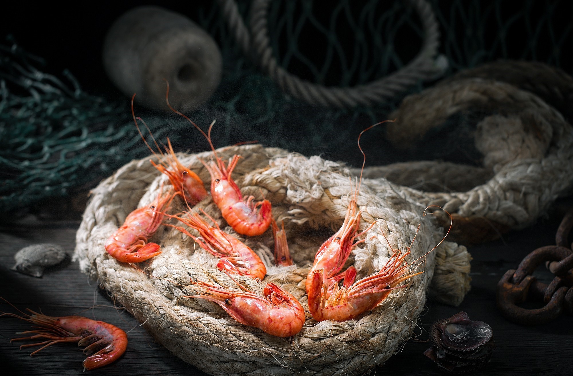 seafood, food, rust, still life, ropes, shrimp, HD Wallpaper
