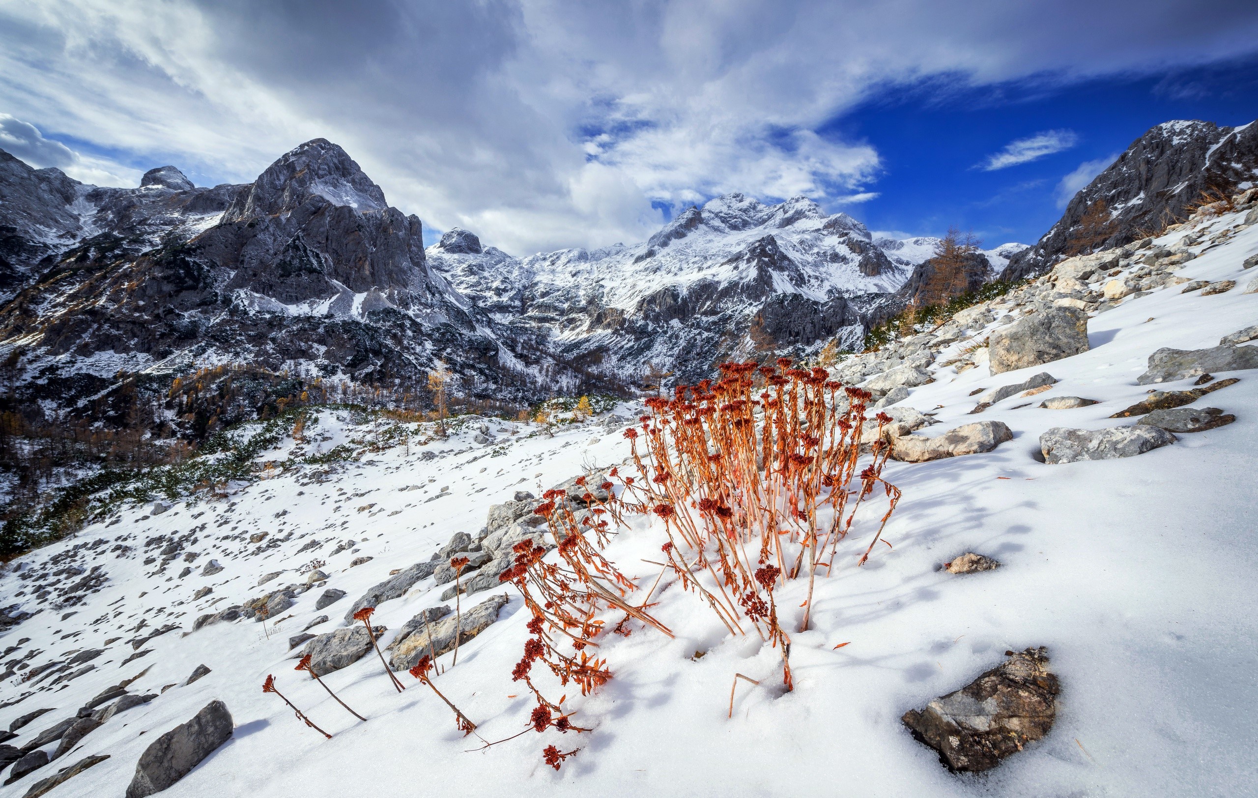 snow, winter, nature, landscape, mountains, HD Wallpaper