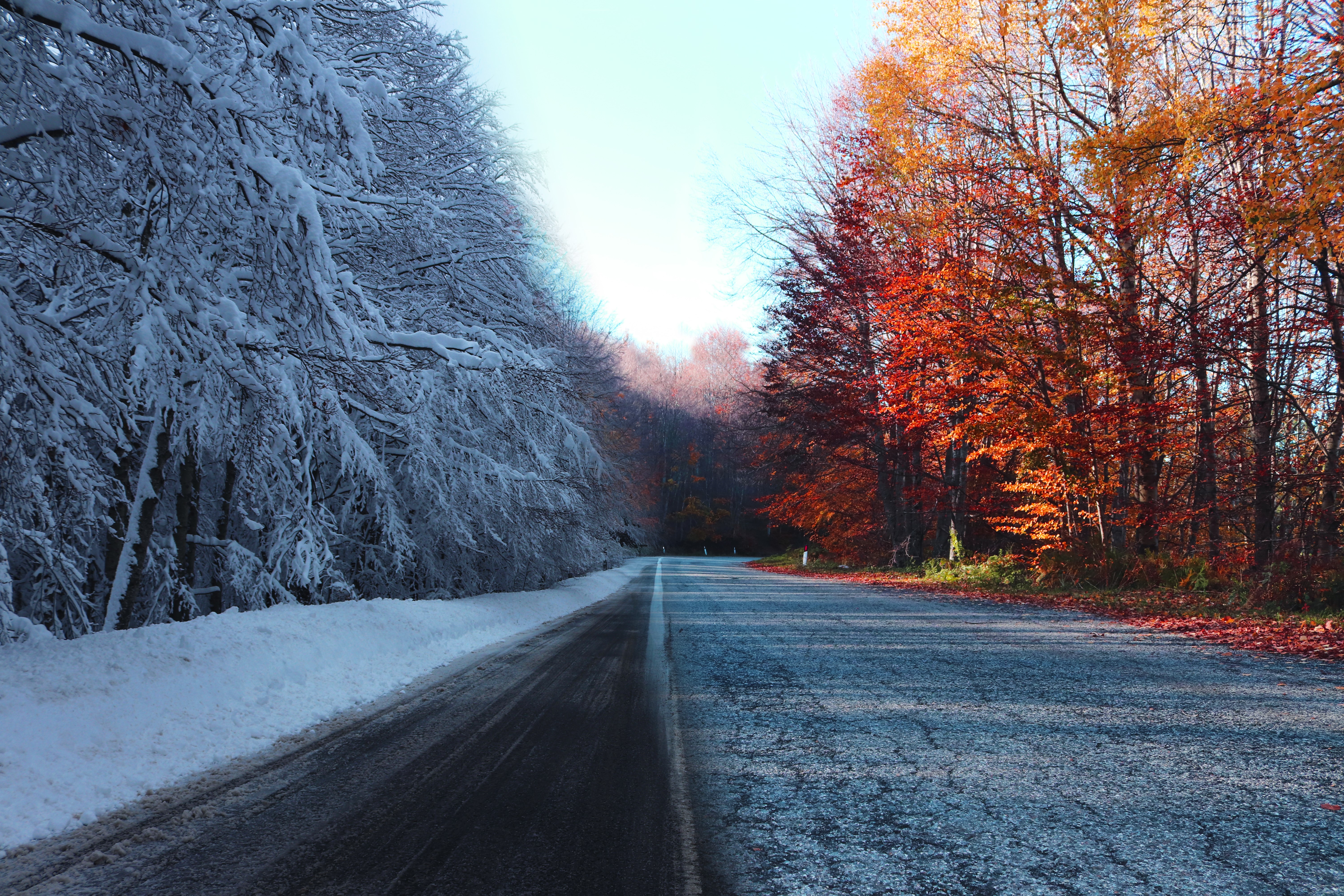 nature, winter, road, landscape, trees, fall, HD Wallpaper