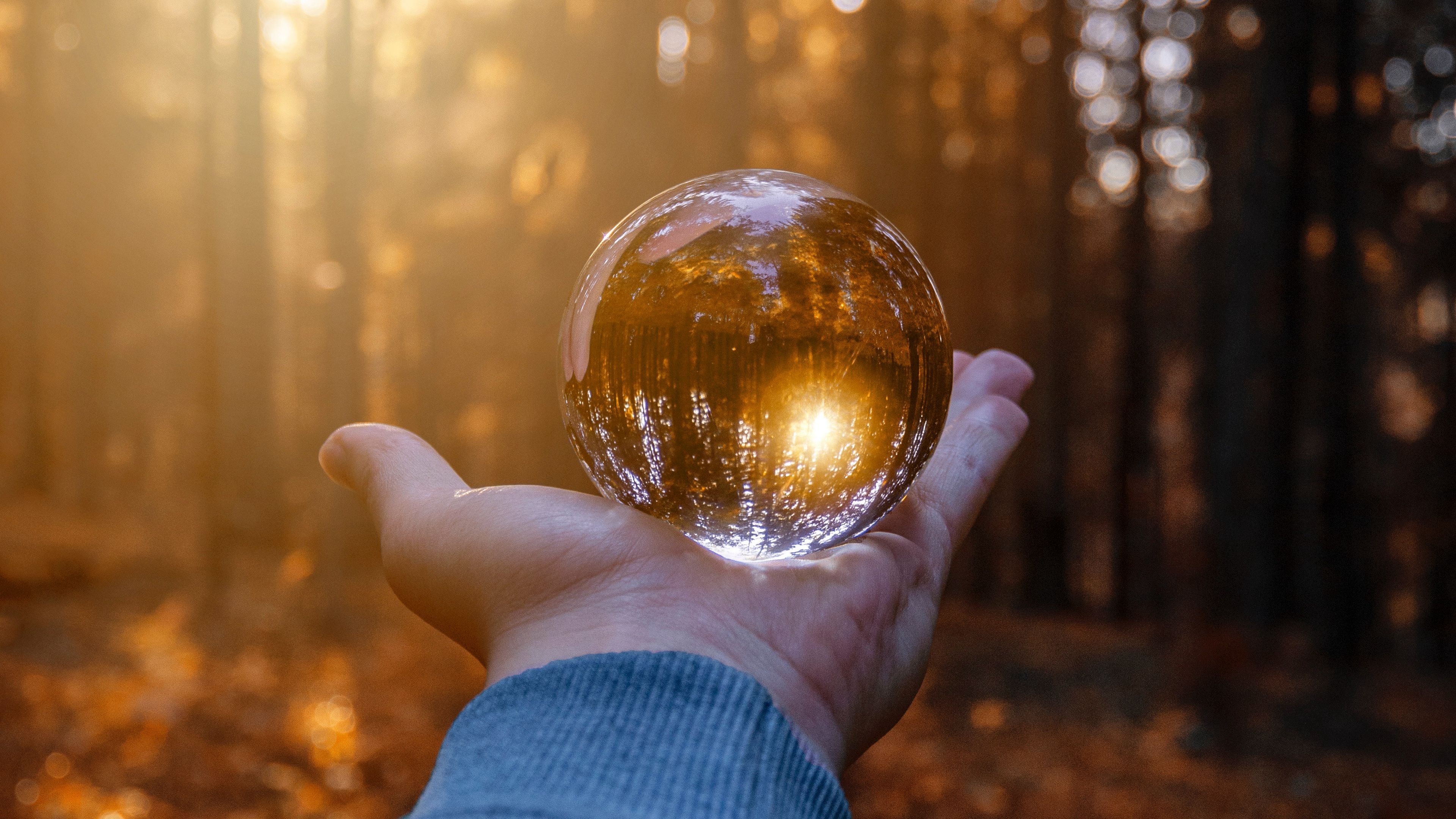 hand, ball, glass, reflection, autumn, 4k, HD Wallpaper