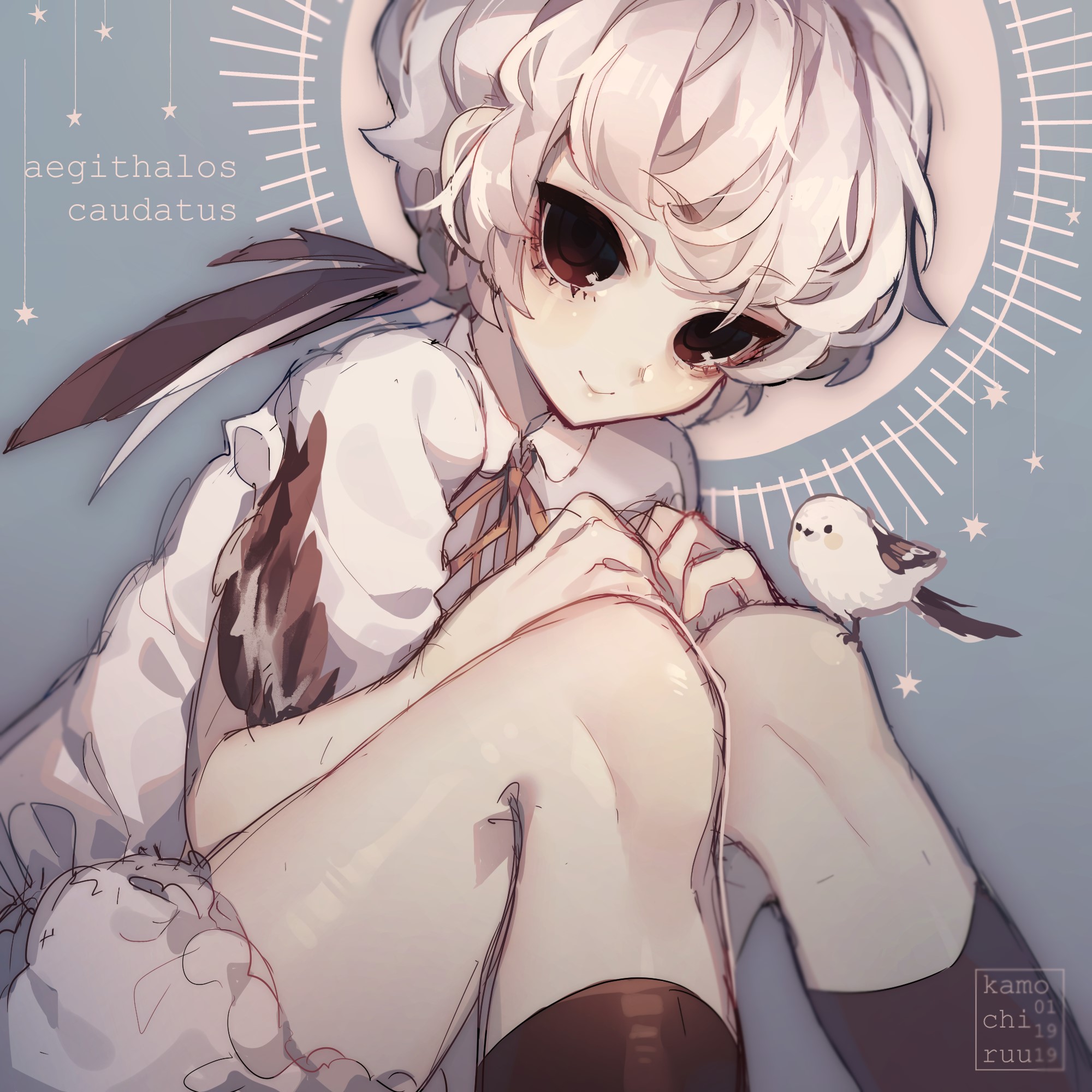 anime, anime girls, dark eyes, birds, HD Wallpaper