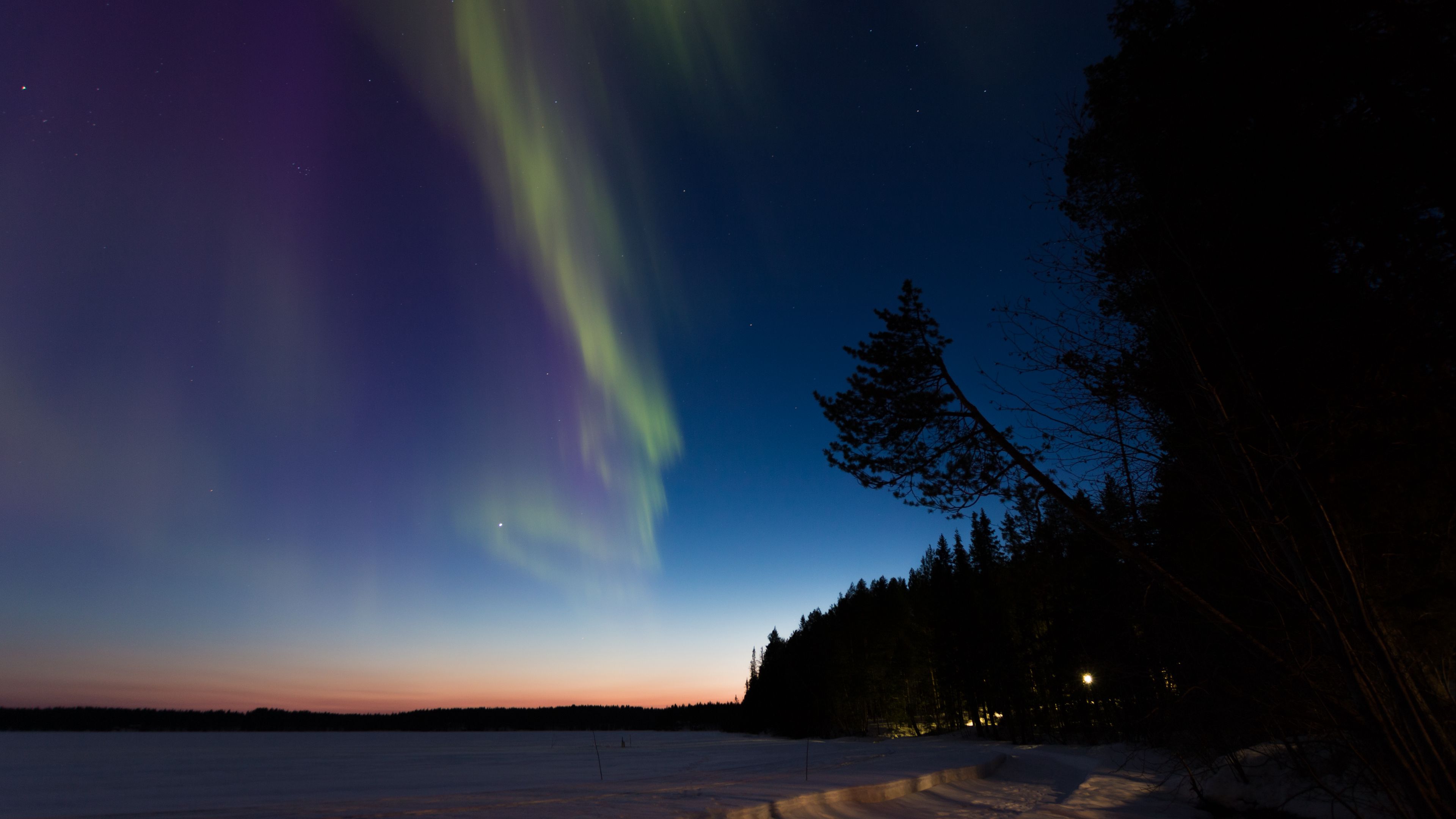 northern lights, winter, forest, night, trees, 4k, HD Wallpaper