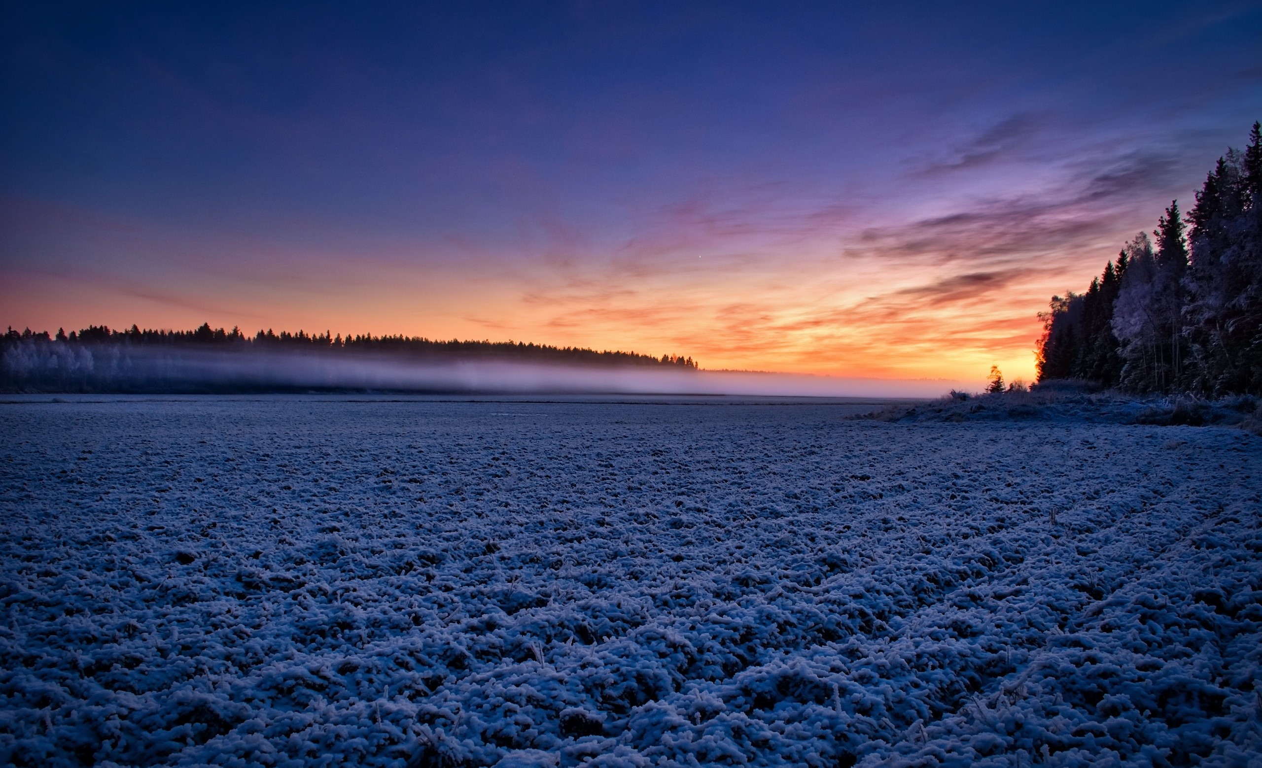 nature, field, sunlight, landscape, HD Wallpaper