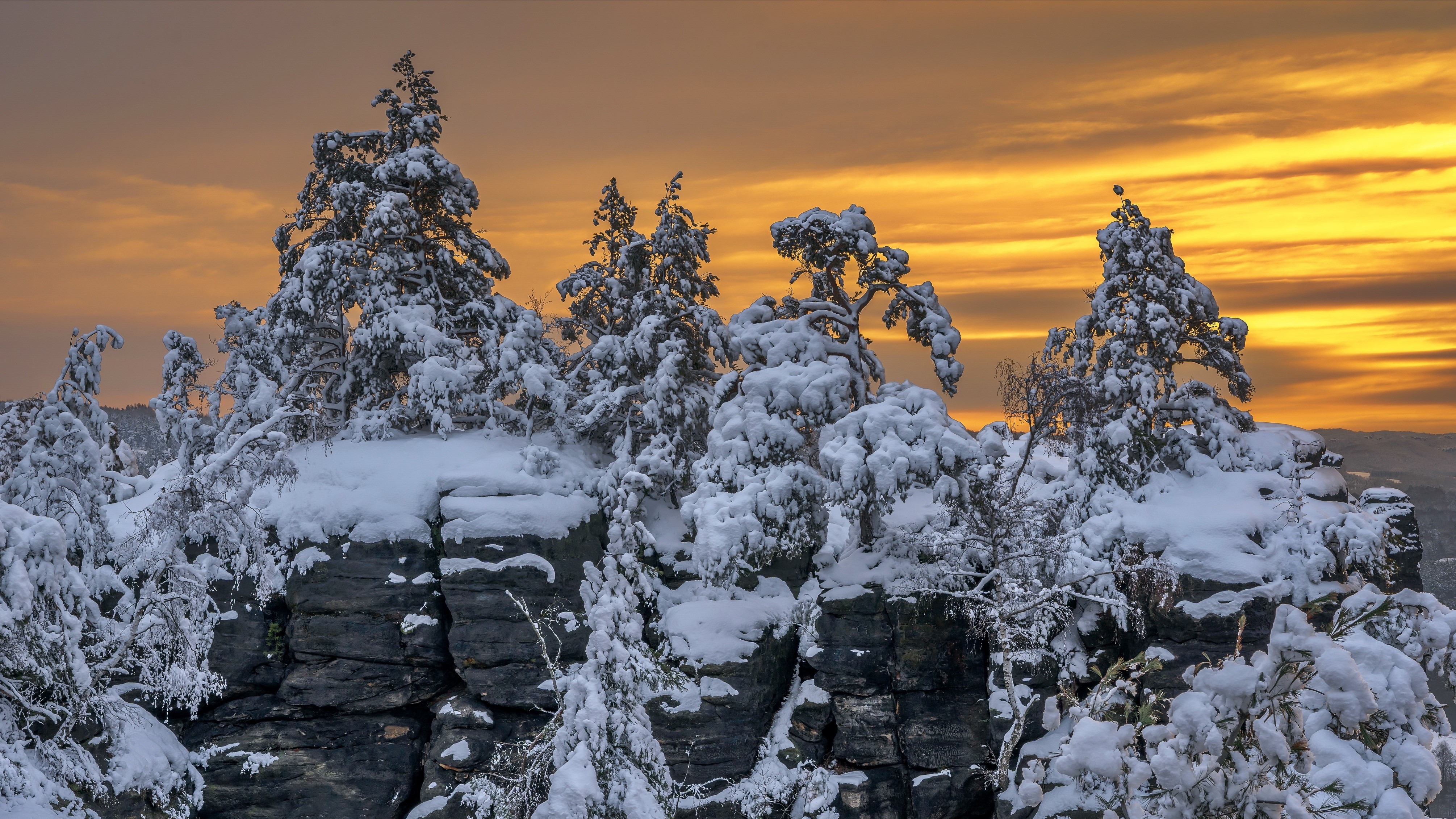 winter, sunlight, snow, trees, dusk, yellow, HD Wallpaper