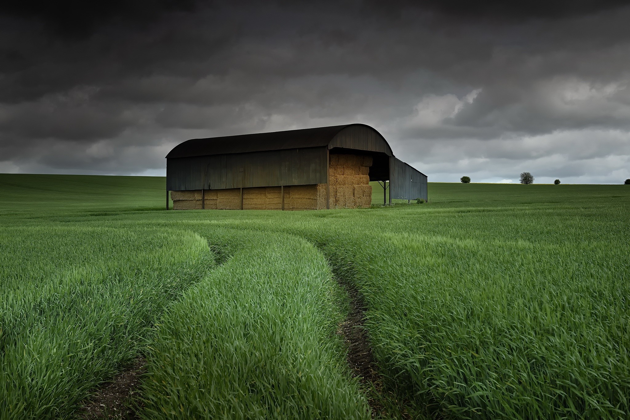 field, plants, landscape, clouds, dark, HD Wallpaper