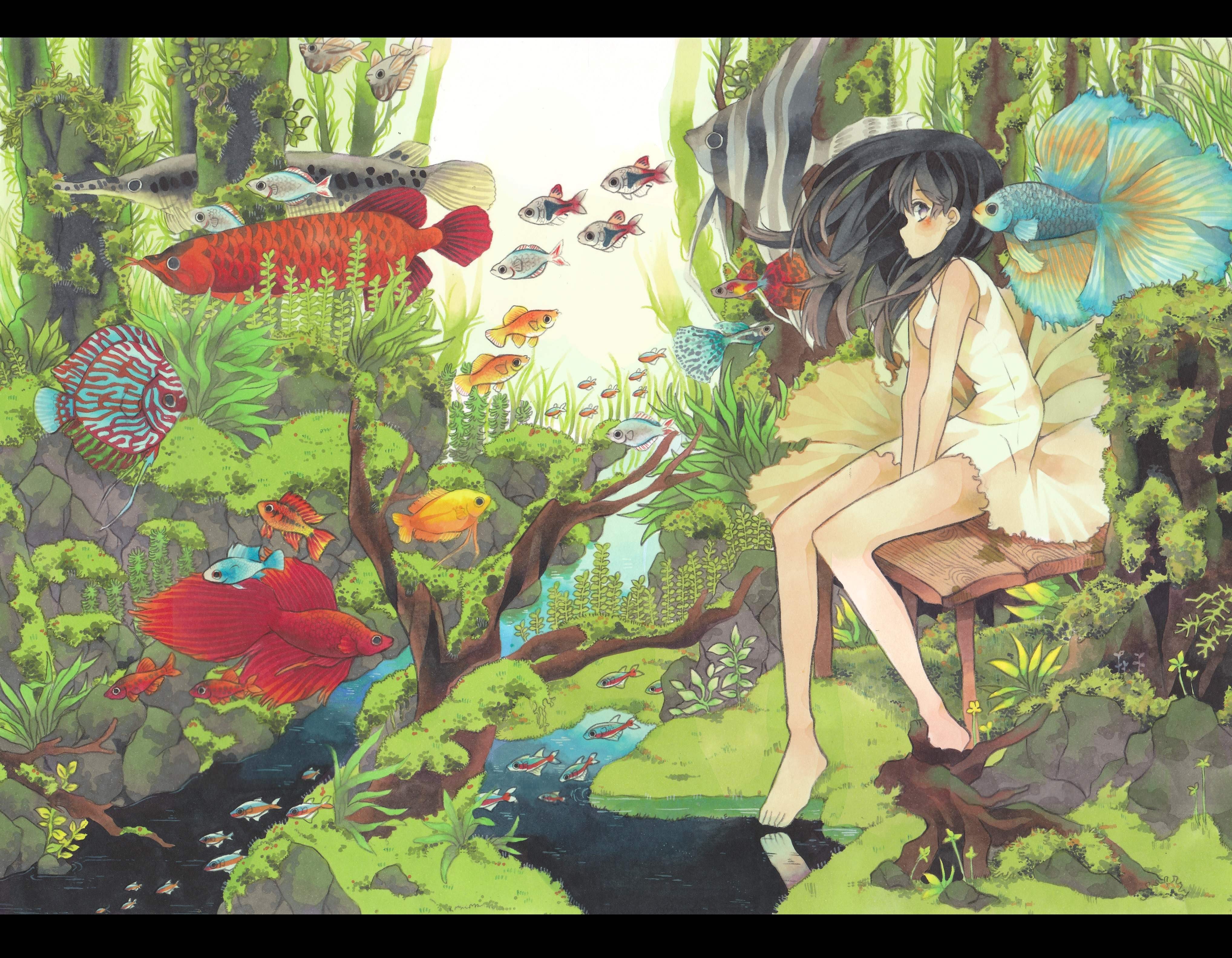 anime, anime girls, animals, legs, barefoot, HD Wallpaper