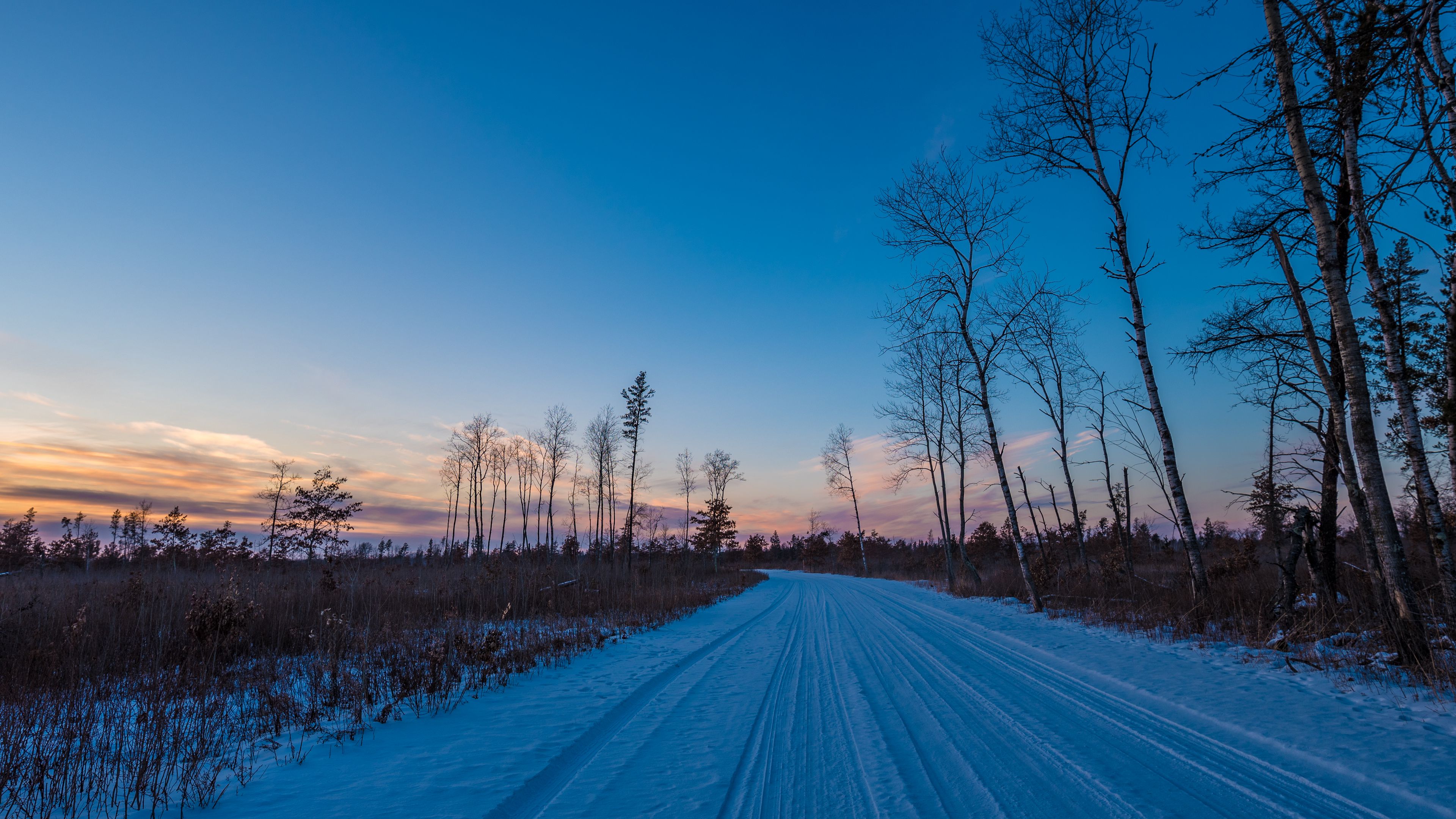 winter, road, trees, horizon, sky, 4k, HD Wallpaper