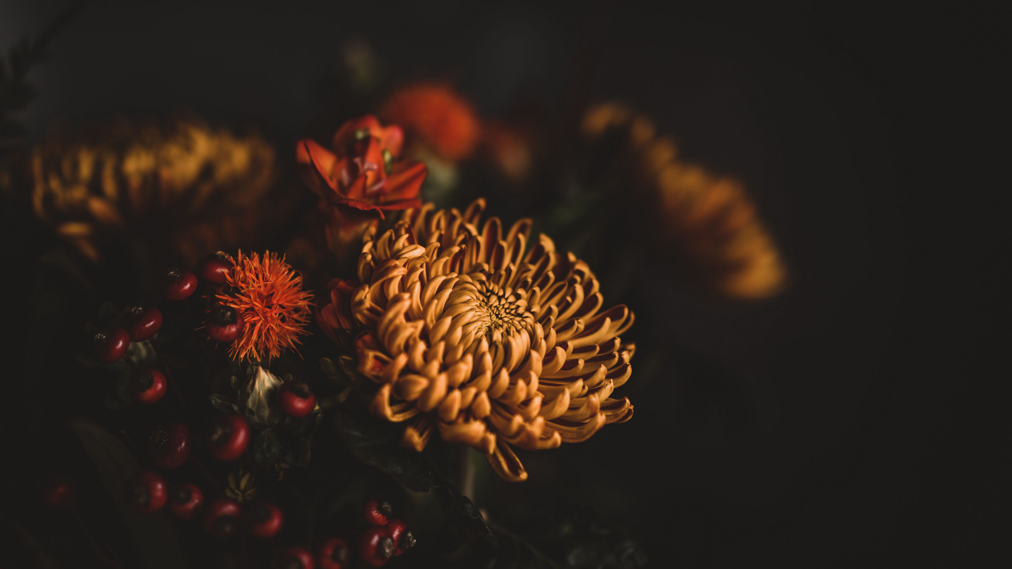 flowers, bouquet, composition, dark, 4k, HD Wallpaper