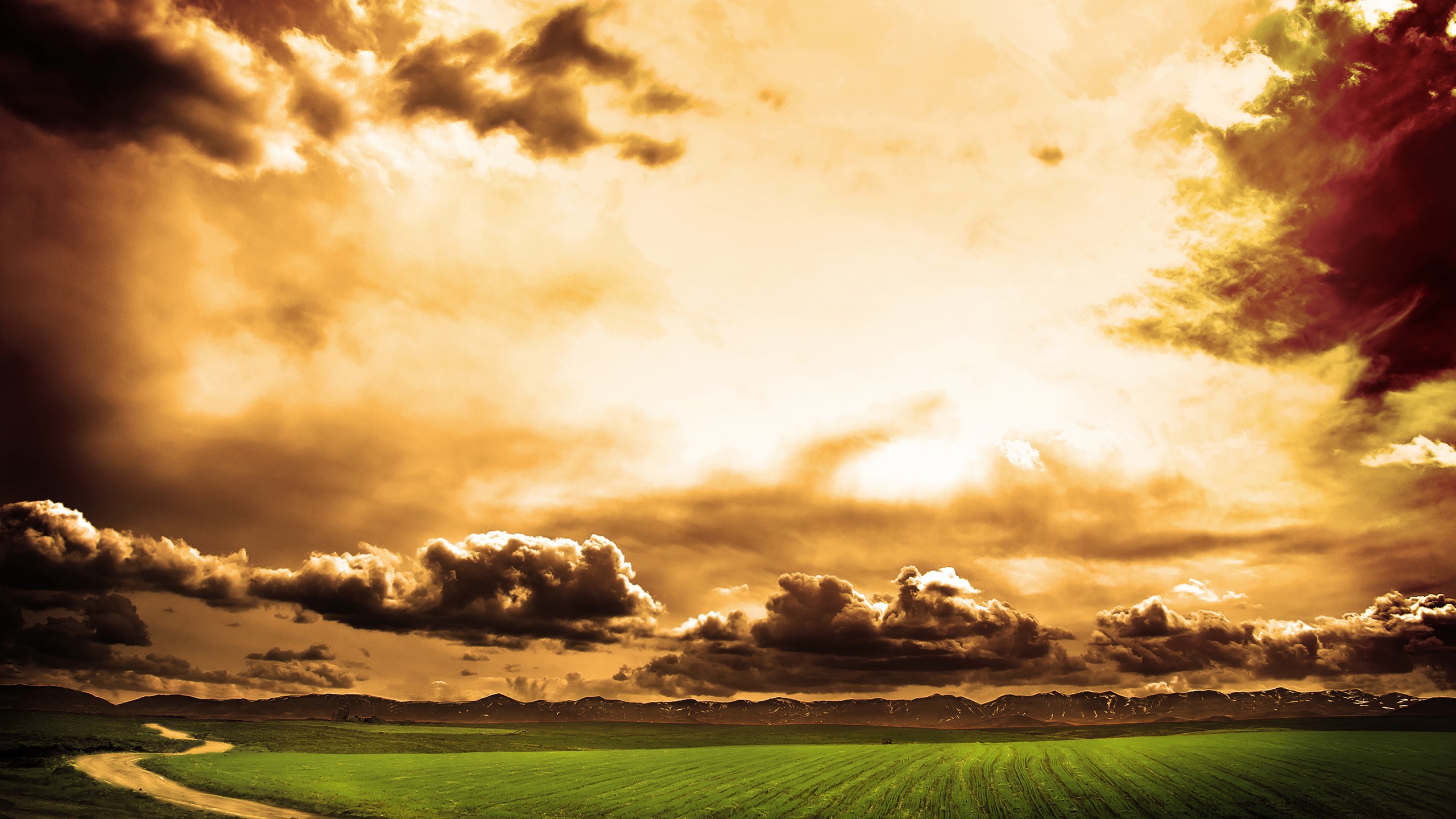 nature, field, sky, clouds, sunlight, HD Wallpaper