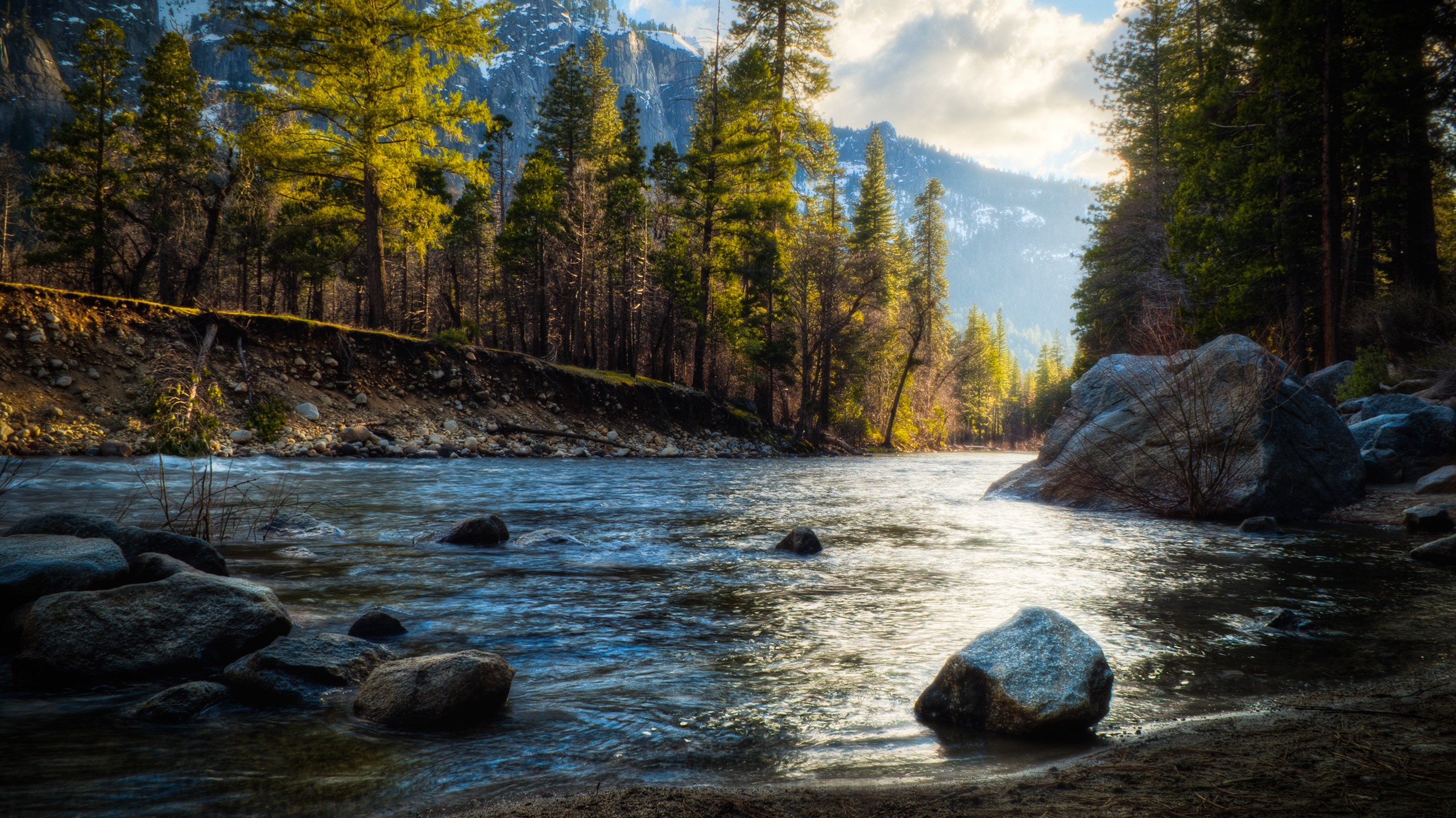 photography, nature, river, rock, stones, trees, HD Wallpaper