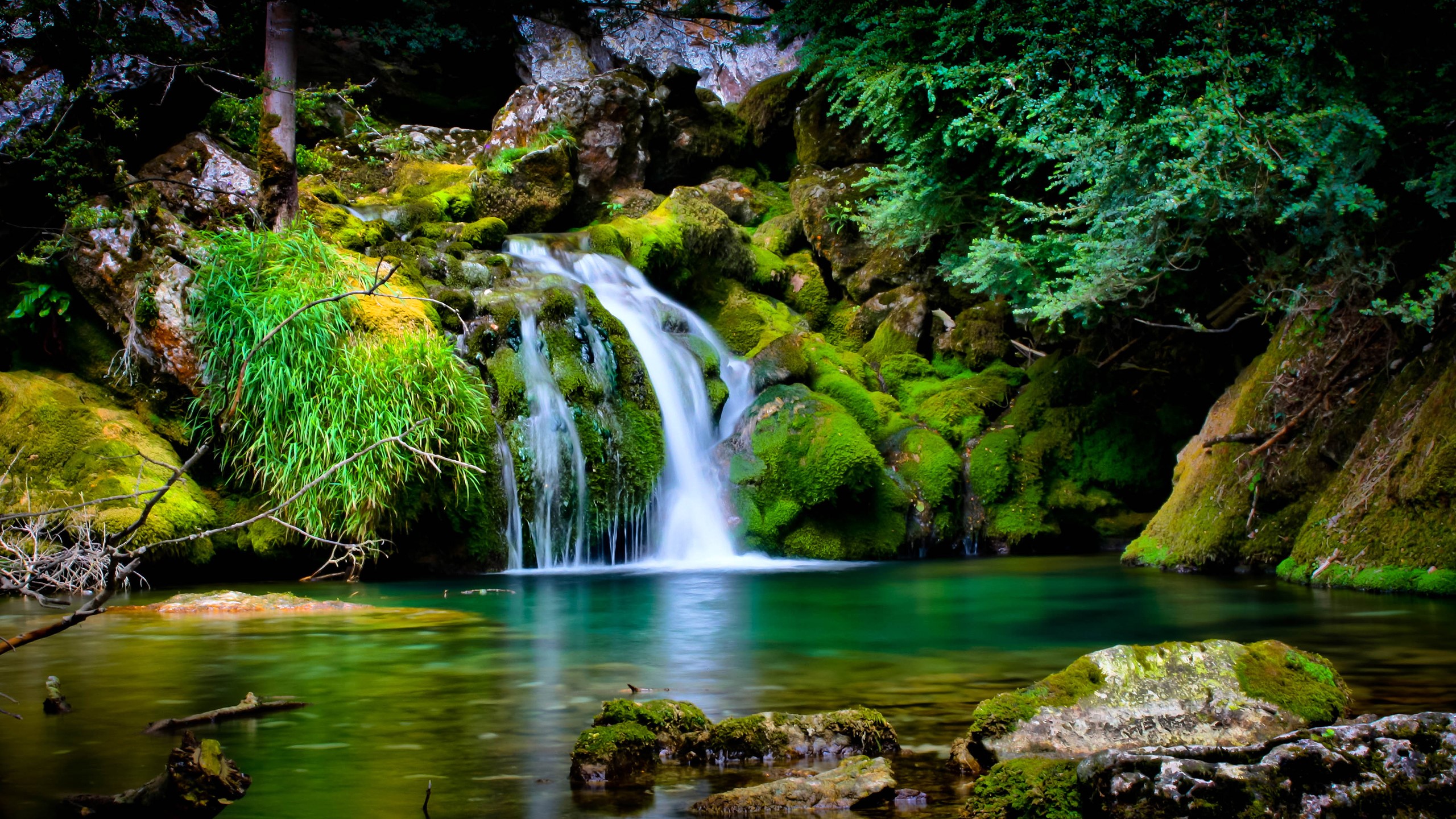nature, waterfall, moss, plants, water, HD Wallpaper