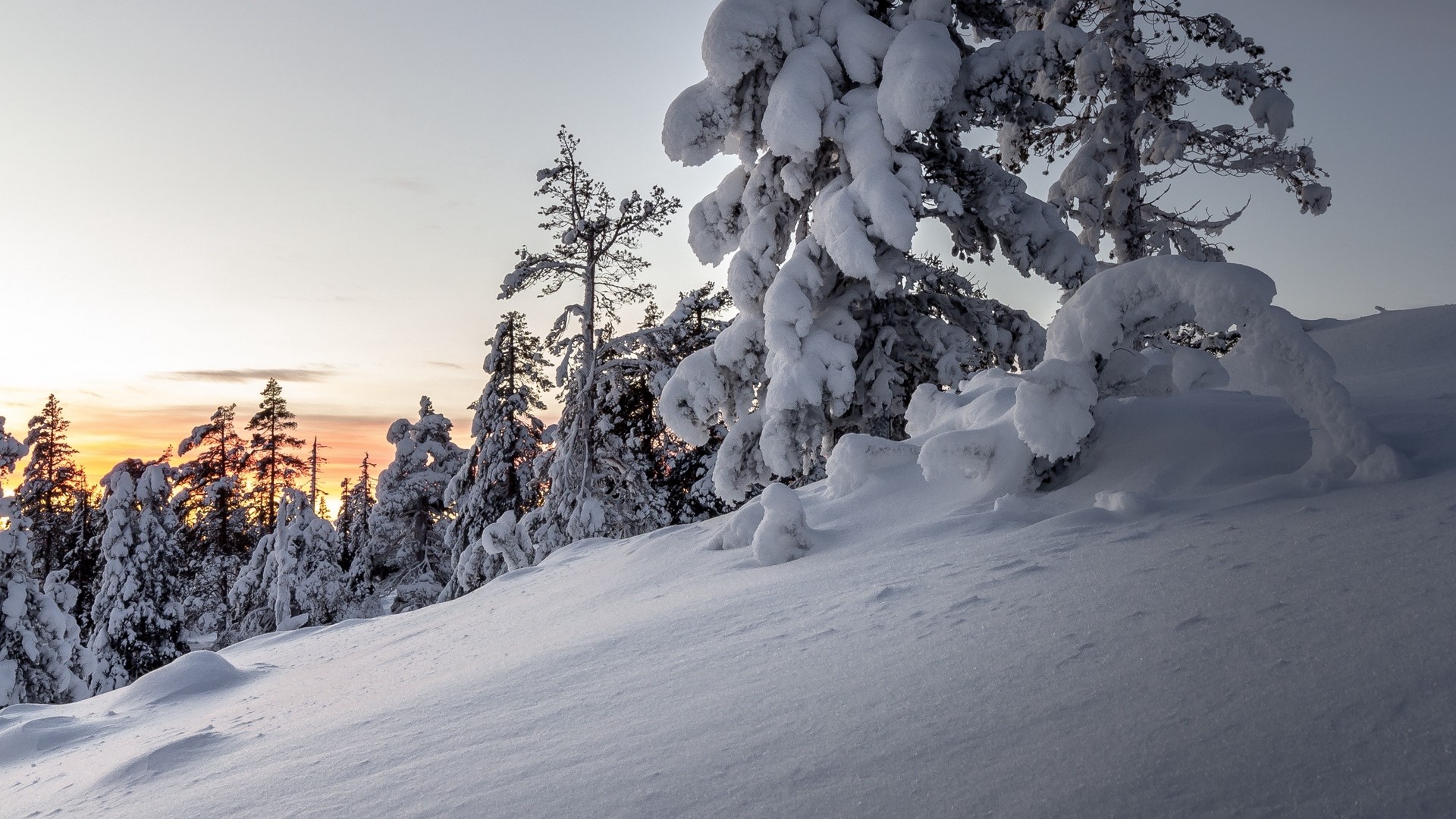 landscape, nature, trees, snow, winter, HD Wallpaper