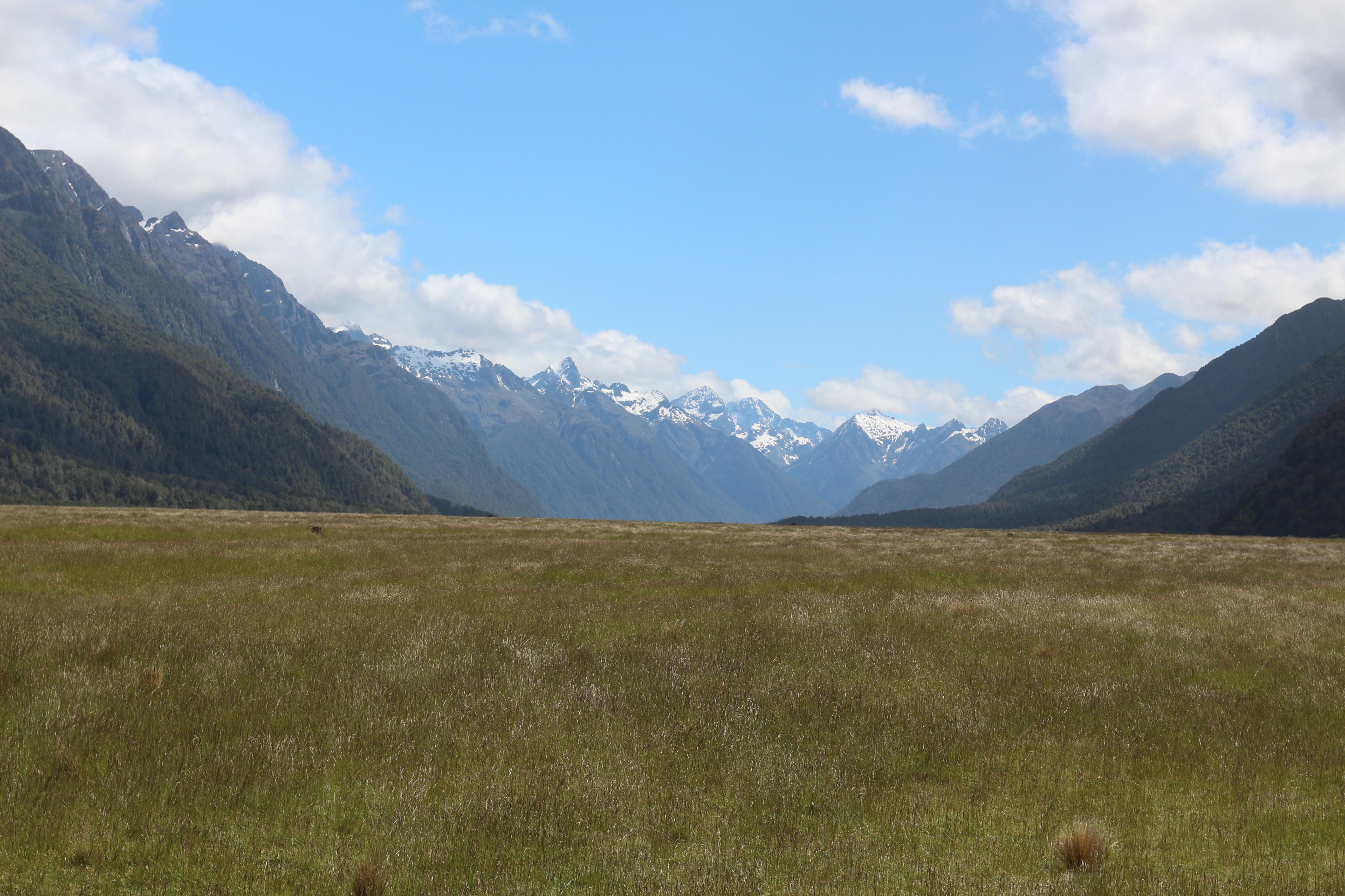 New Zealand, Fiordland National Park, landscape, HD Wallpaper