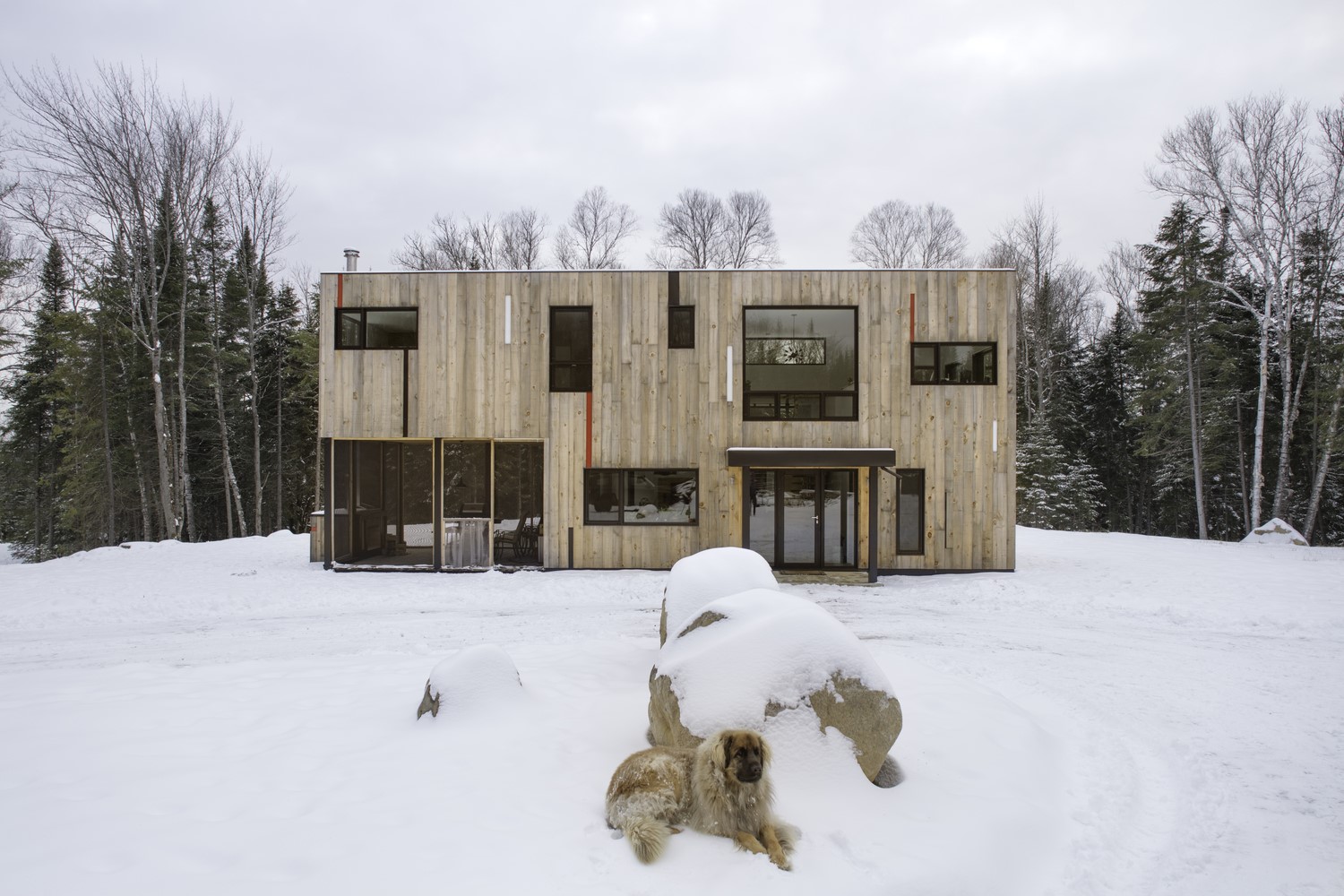 house, forest, snow, dog, pet, architecture, modern, HD Wallpaper