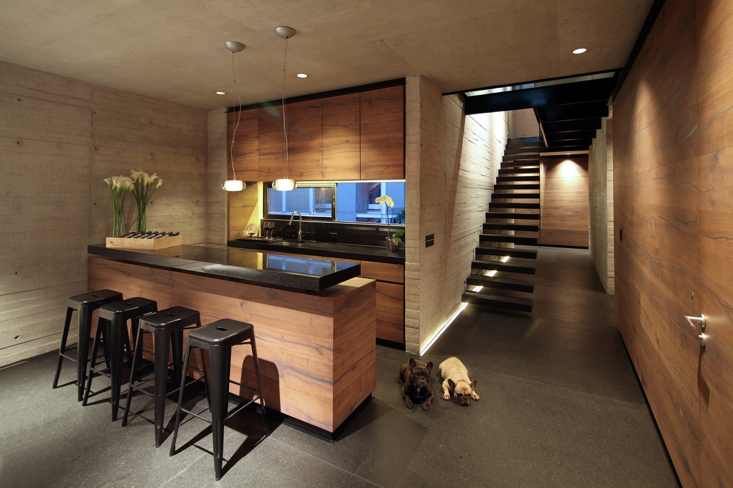 kitchen, room, interior, dog, house, modern, bulldog, pet, HD Wallpaper