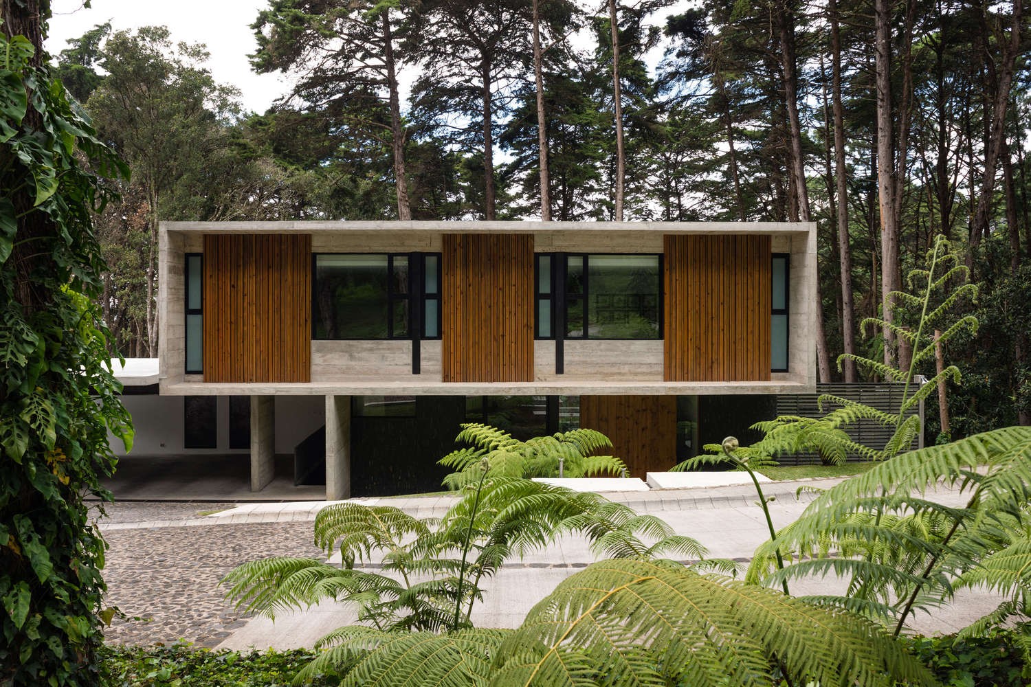 house, architecture, modern, forest, mansions, HD Wallpaper