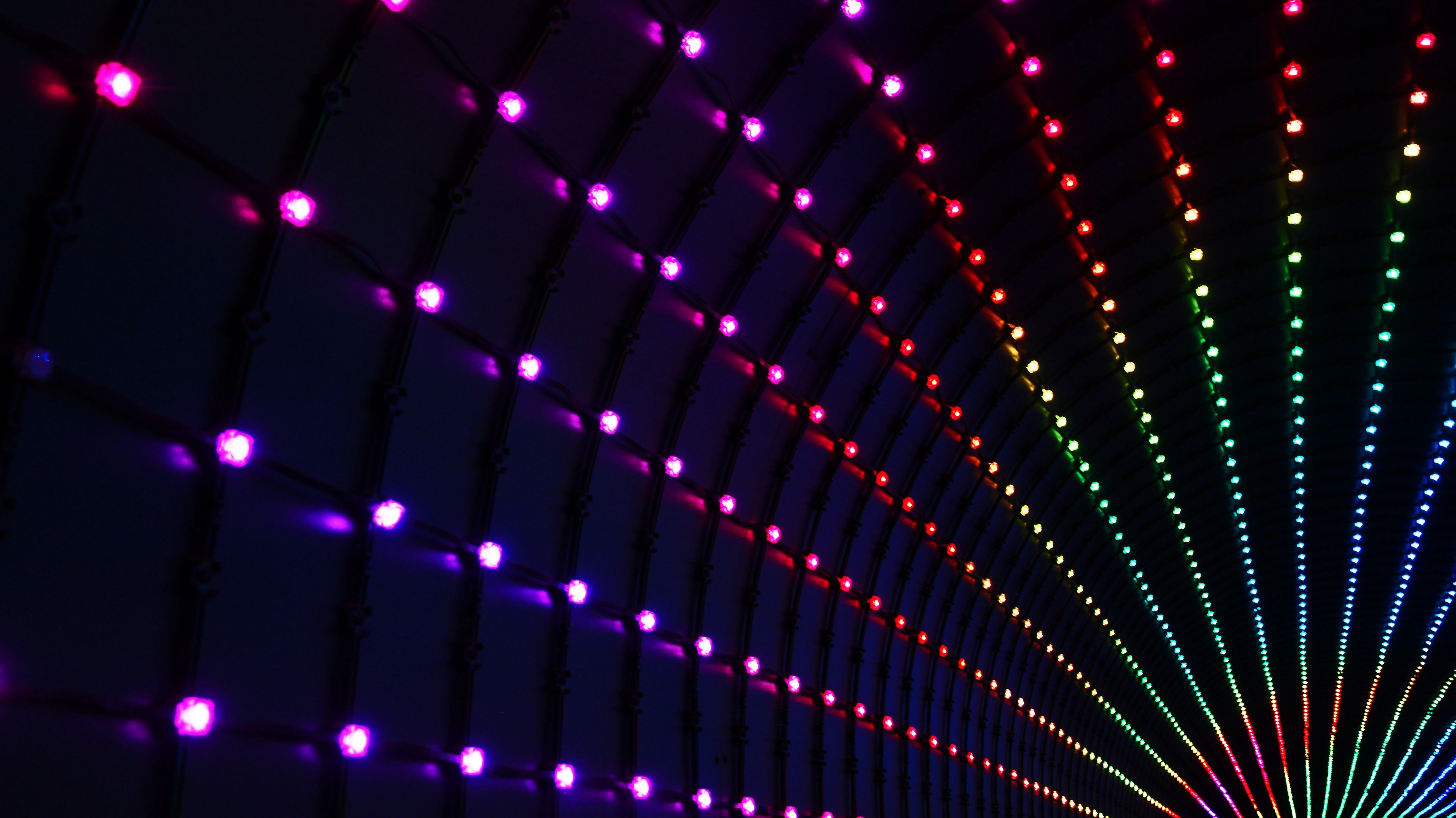 light, blur, light bulbs, lights, 4k, HD Wallpaper